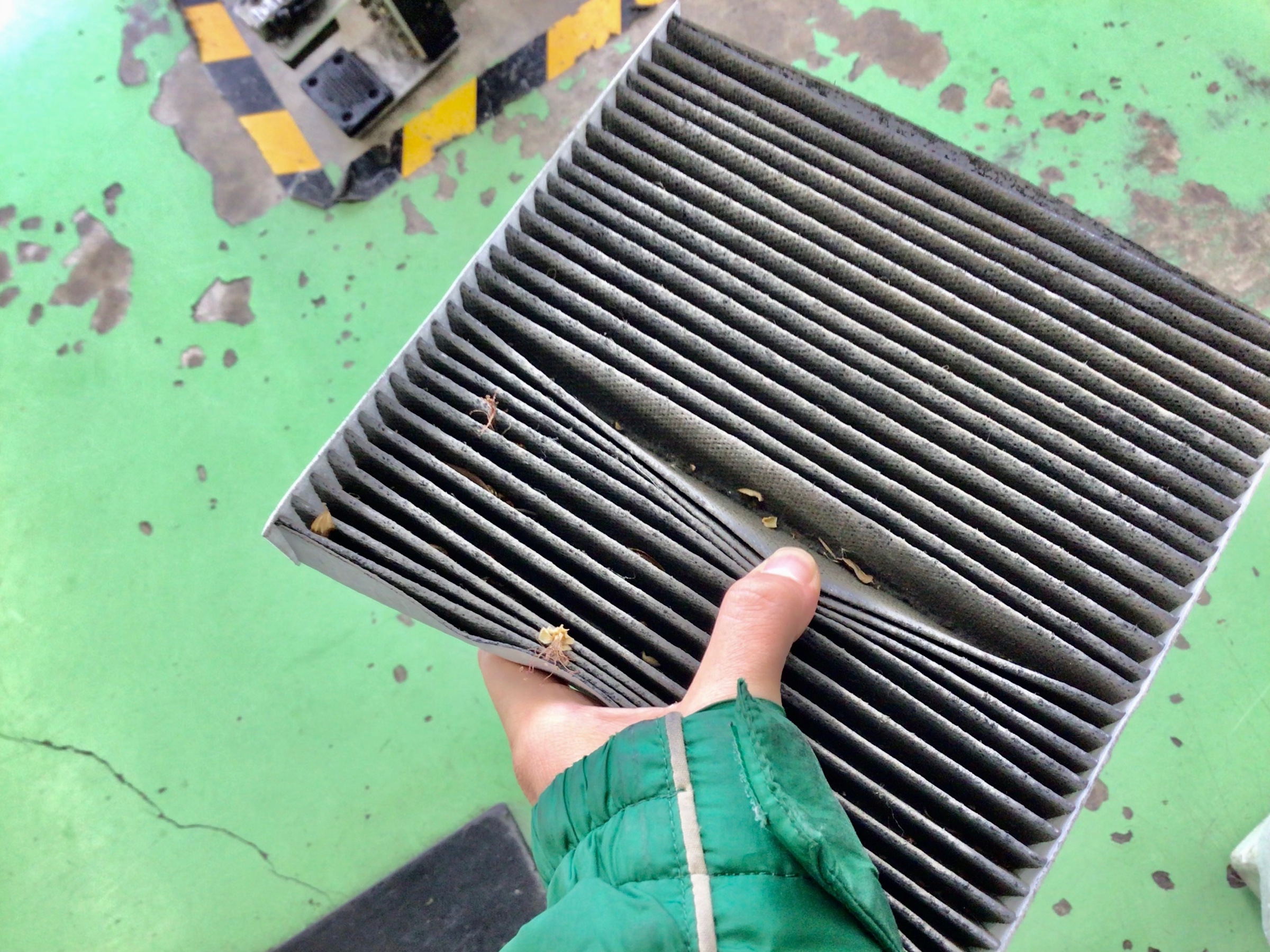 スタッフ撮影分