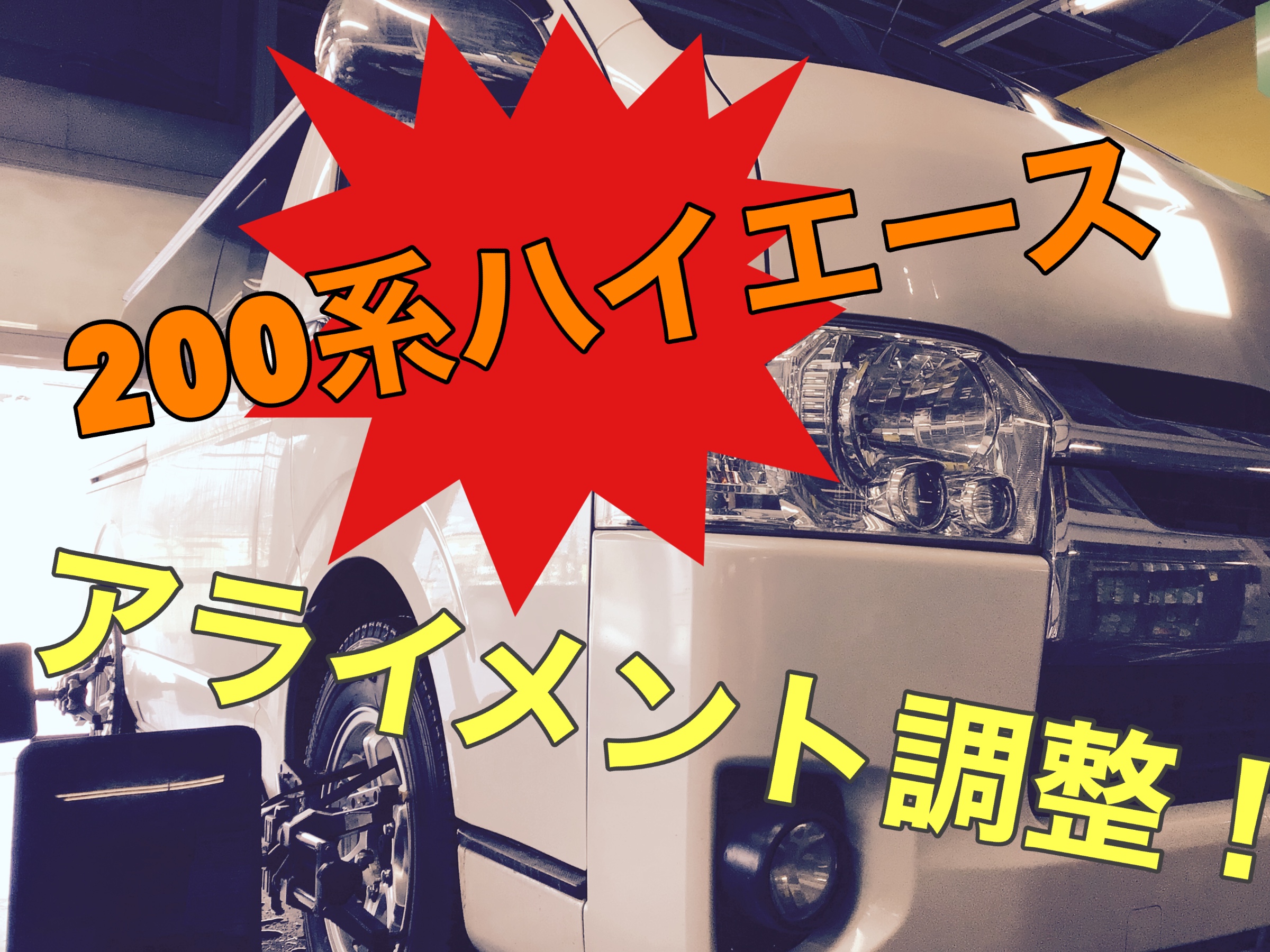 スタッフ撮影画像です