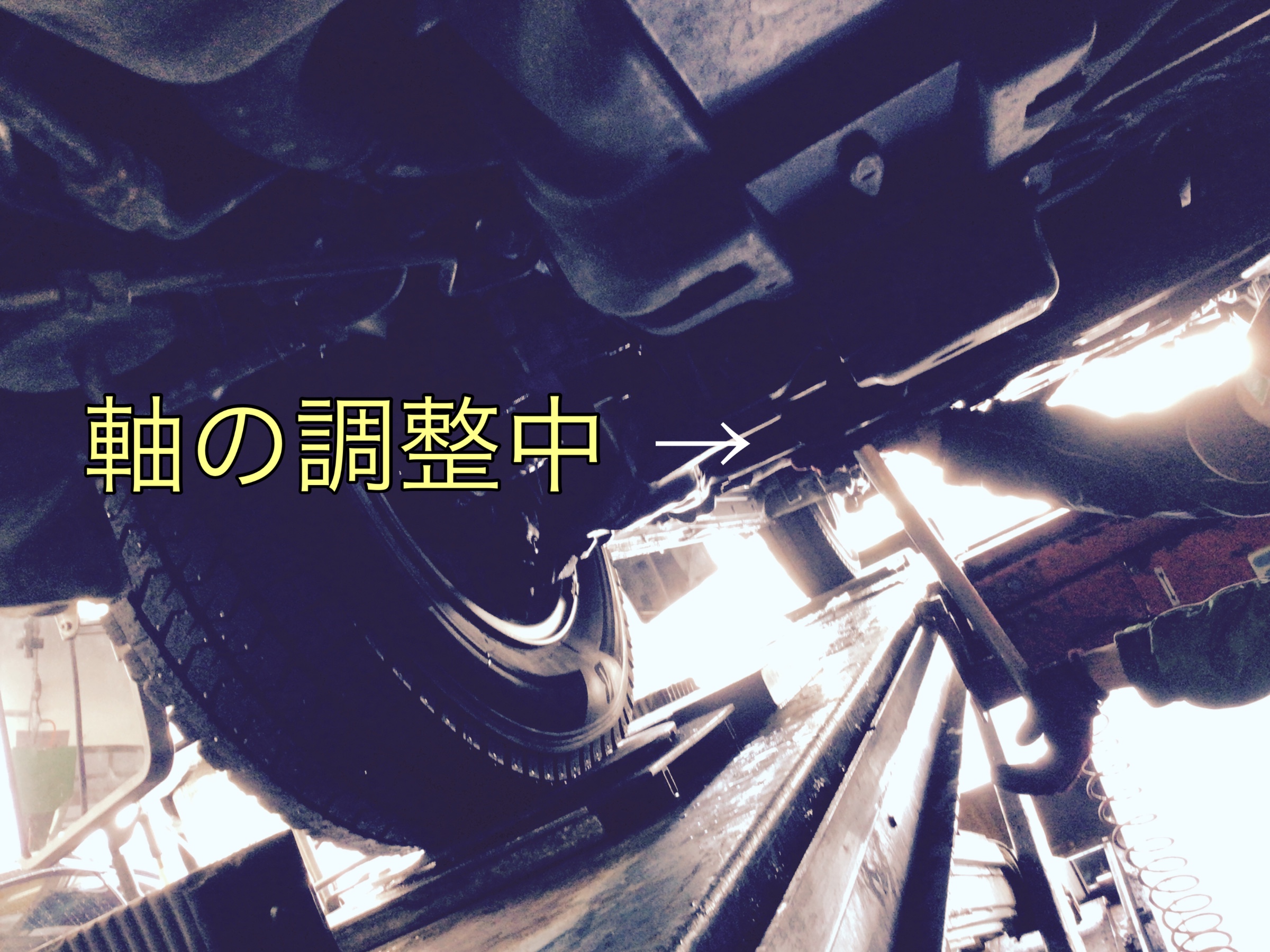 スタッフ撮影画像です