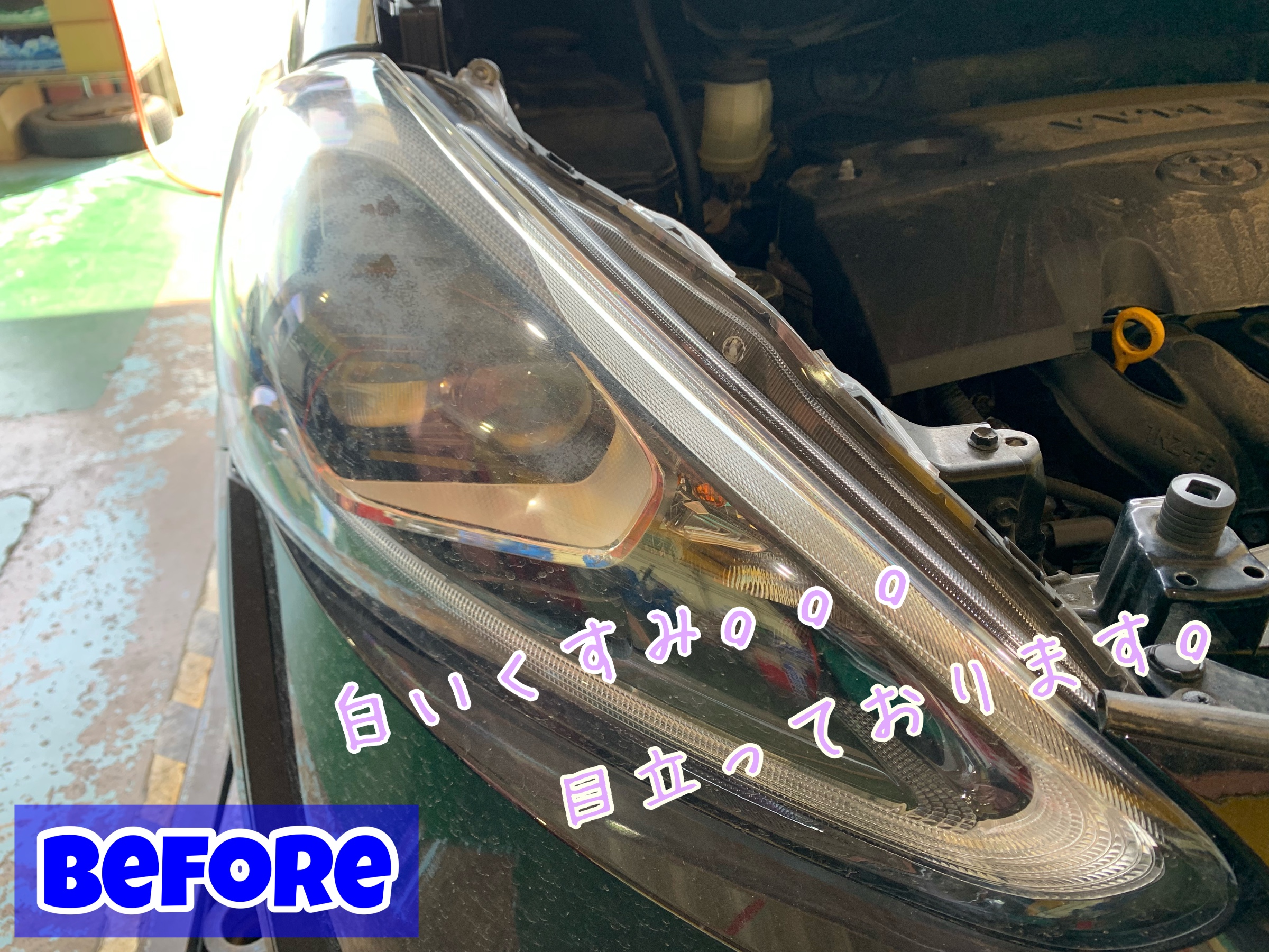 スタッフが撮影加工