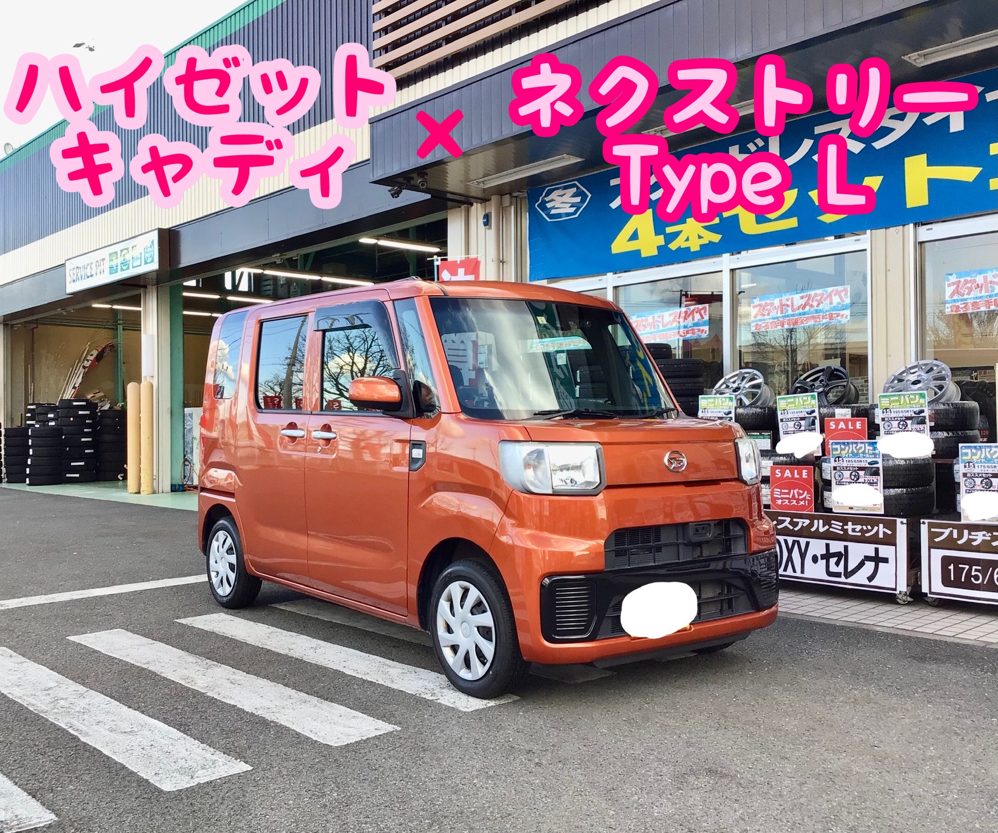 スタッフ撮影分