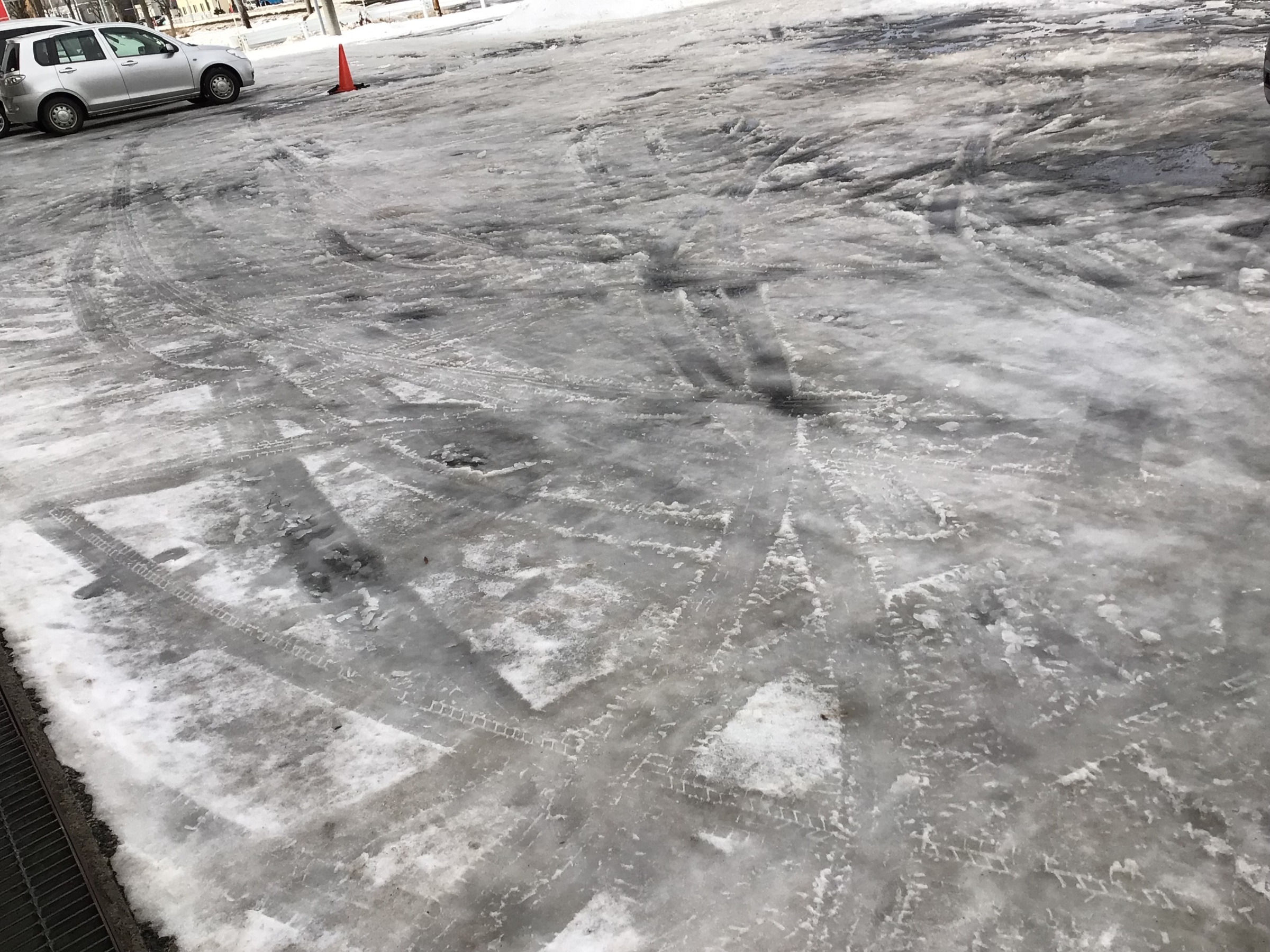 スタッフ撮影画像です