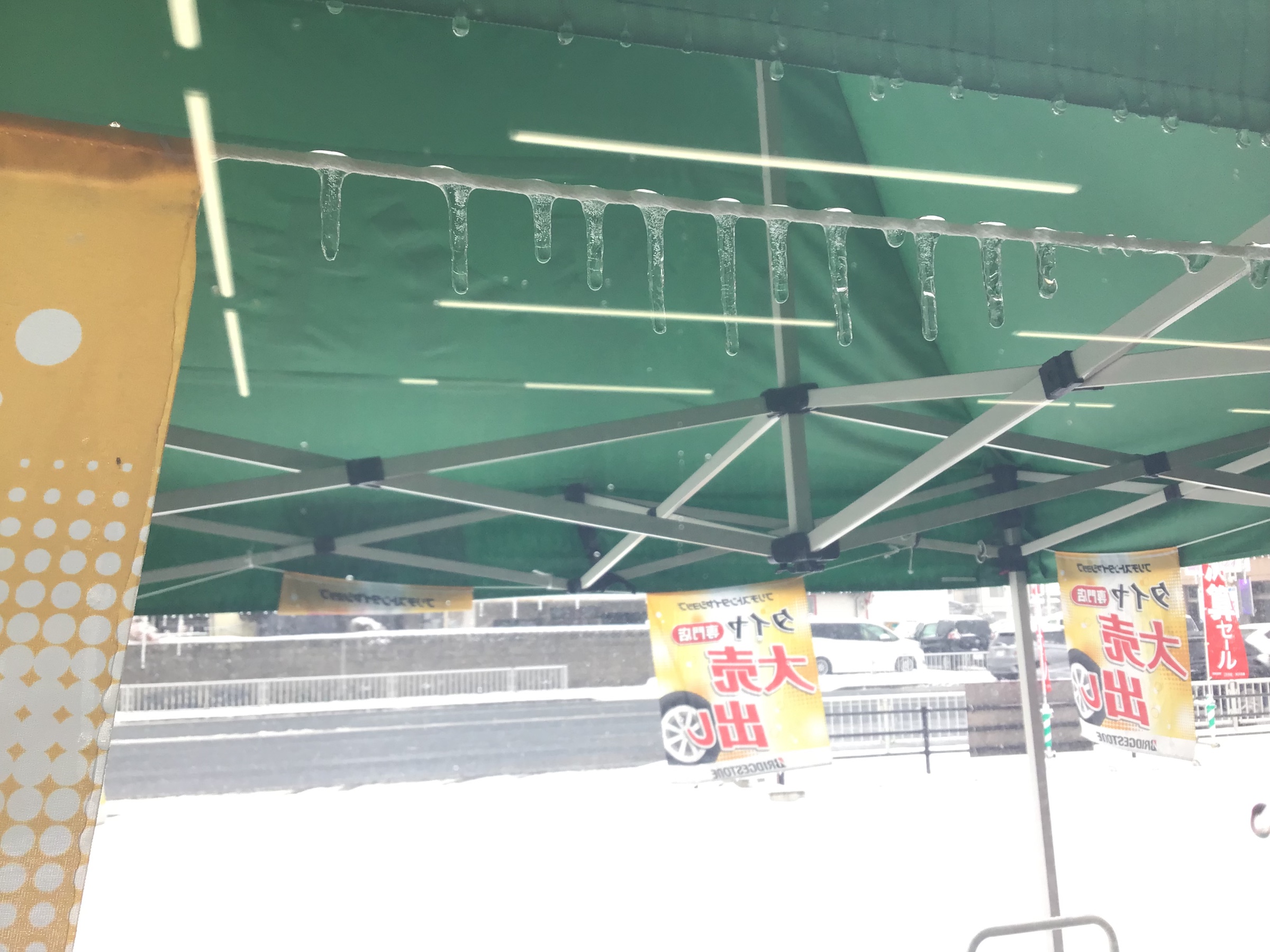 スタッフ撮影です