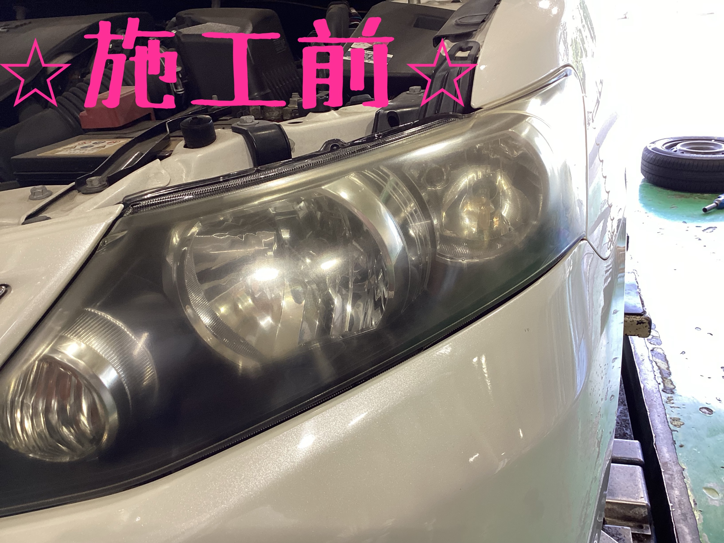 スタッフ撮影画像