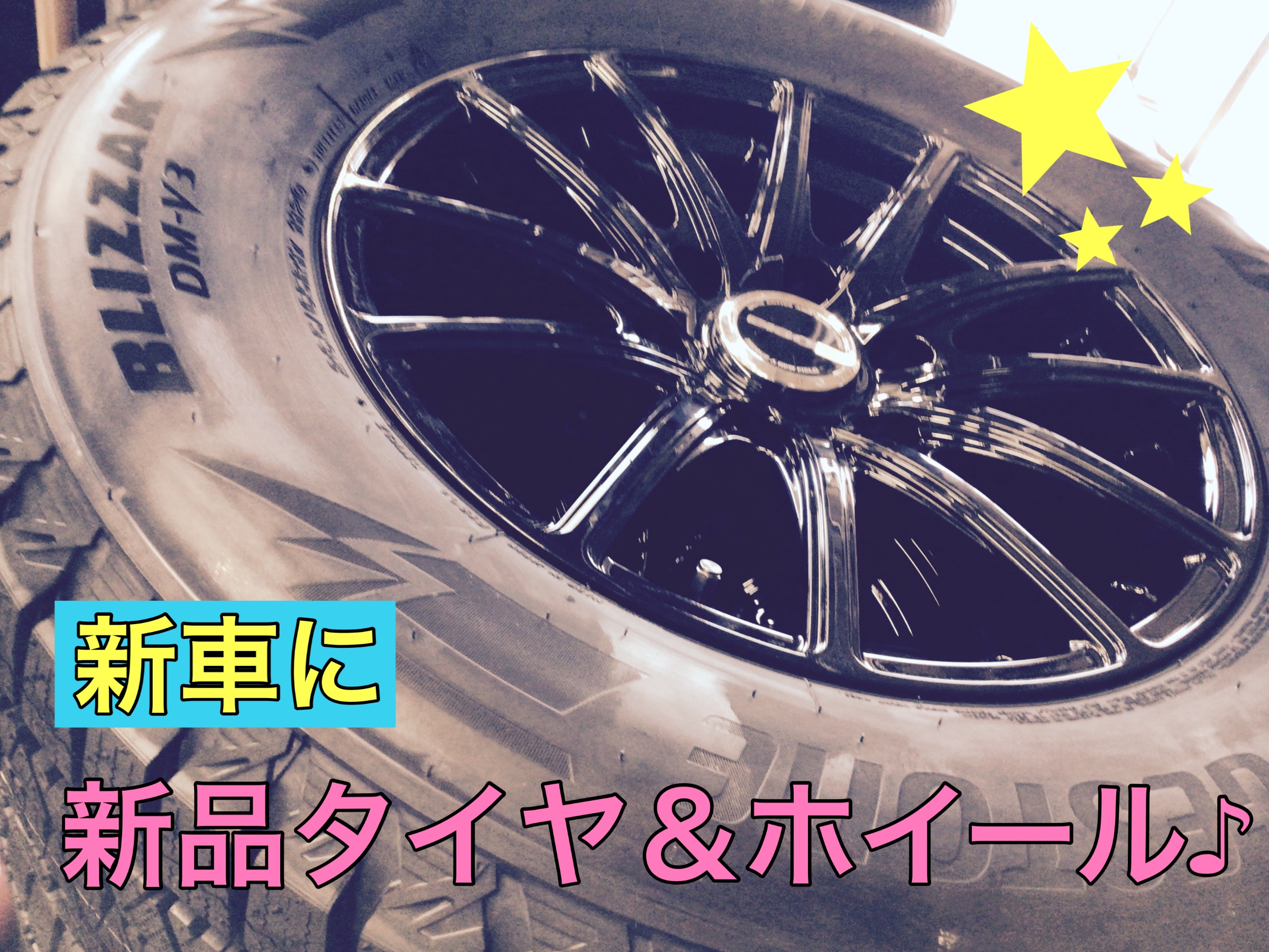 スタッフ撮影画像です