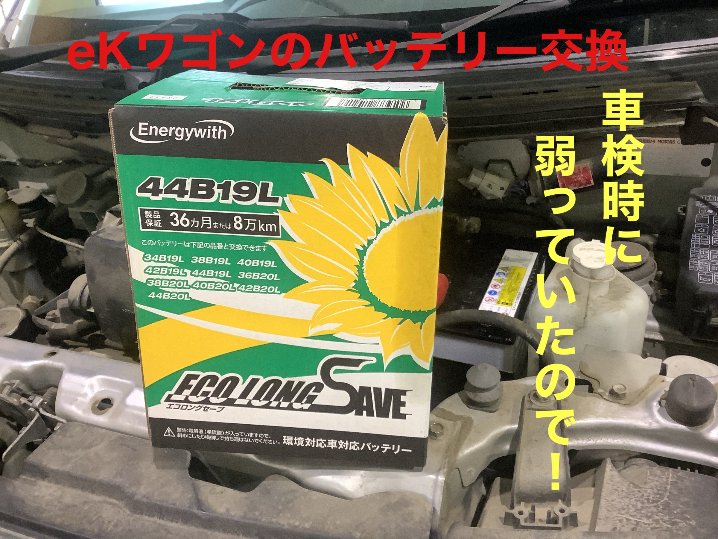 自店撮影です