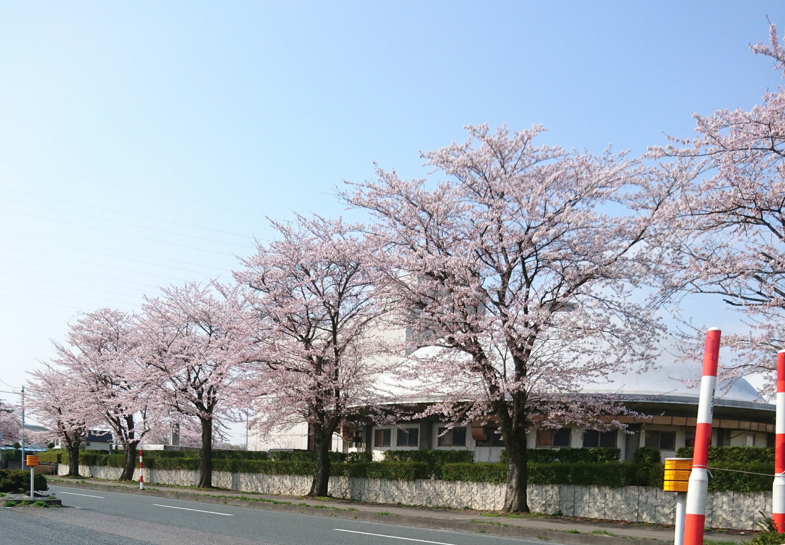 20日の写真です