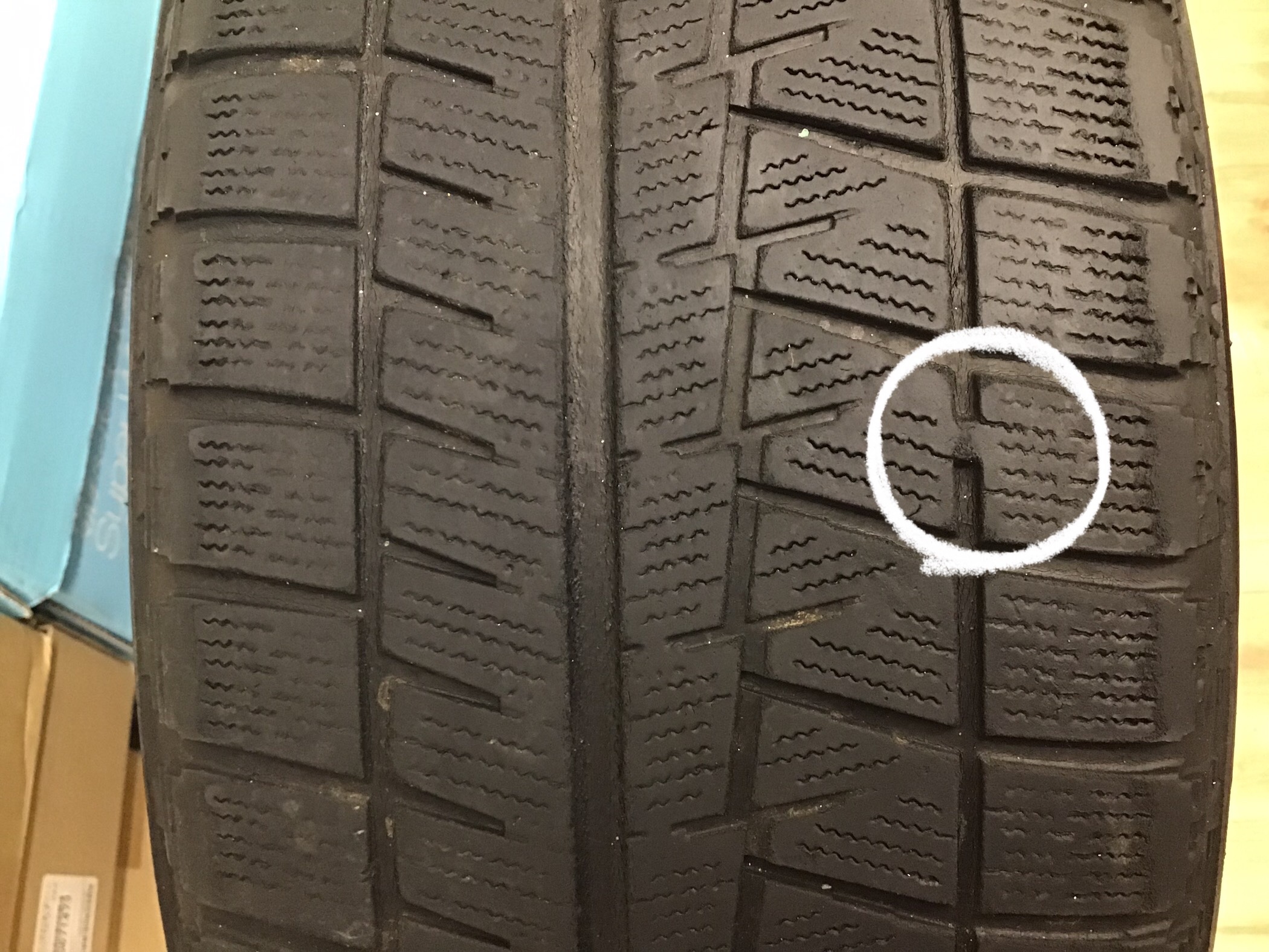 スタッフ撮影です