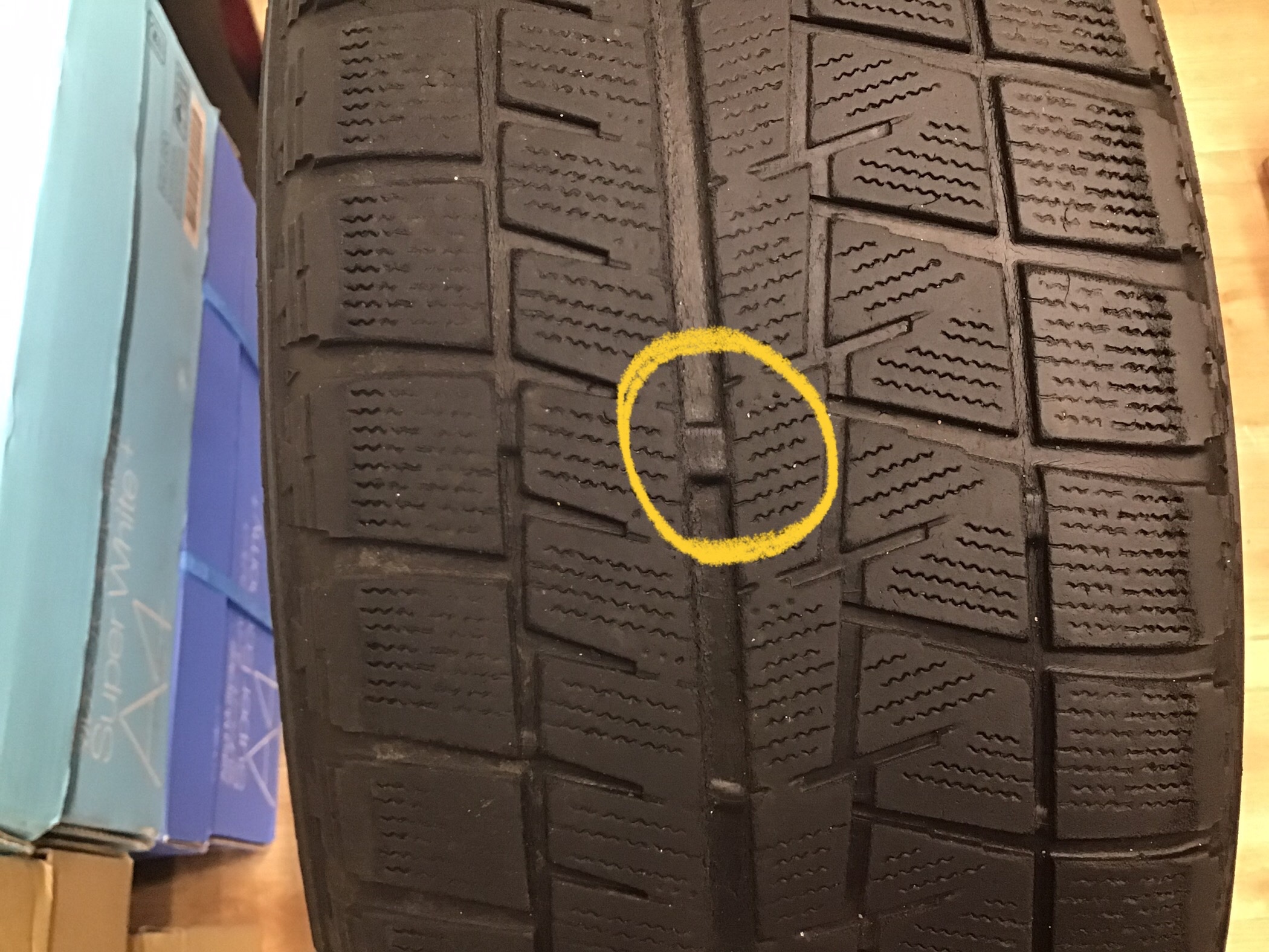 スタッフ撮影です