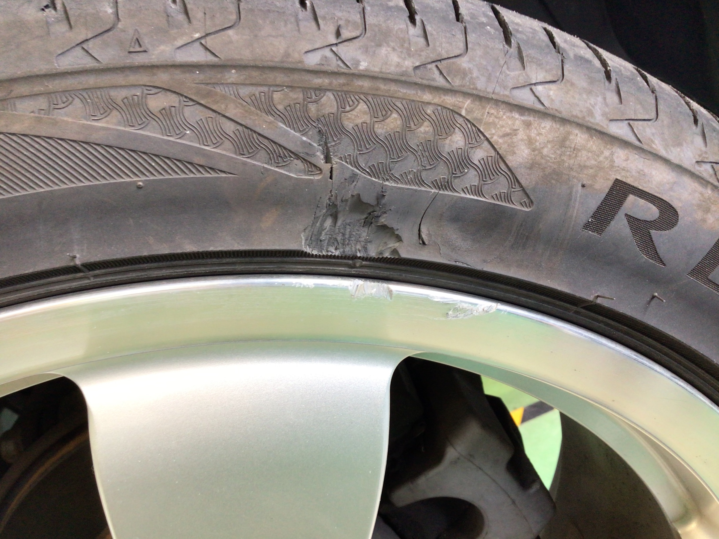 スタッフ撮影分