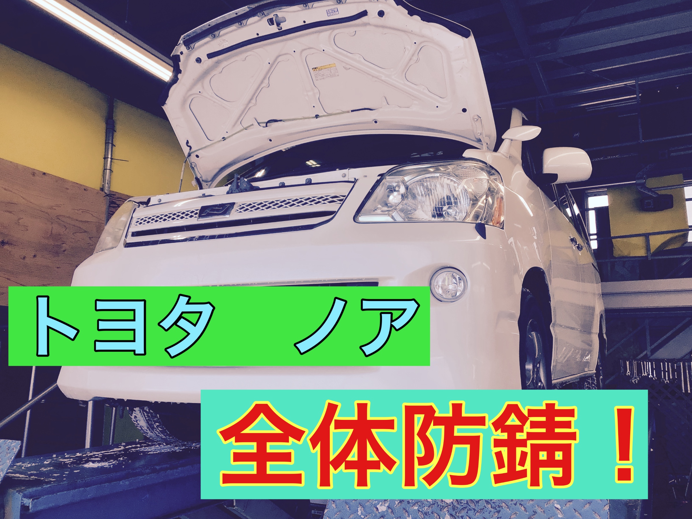 スタッフ撮影画像です