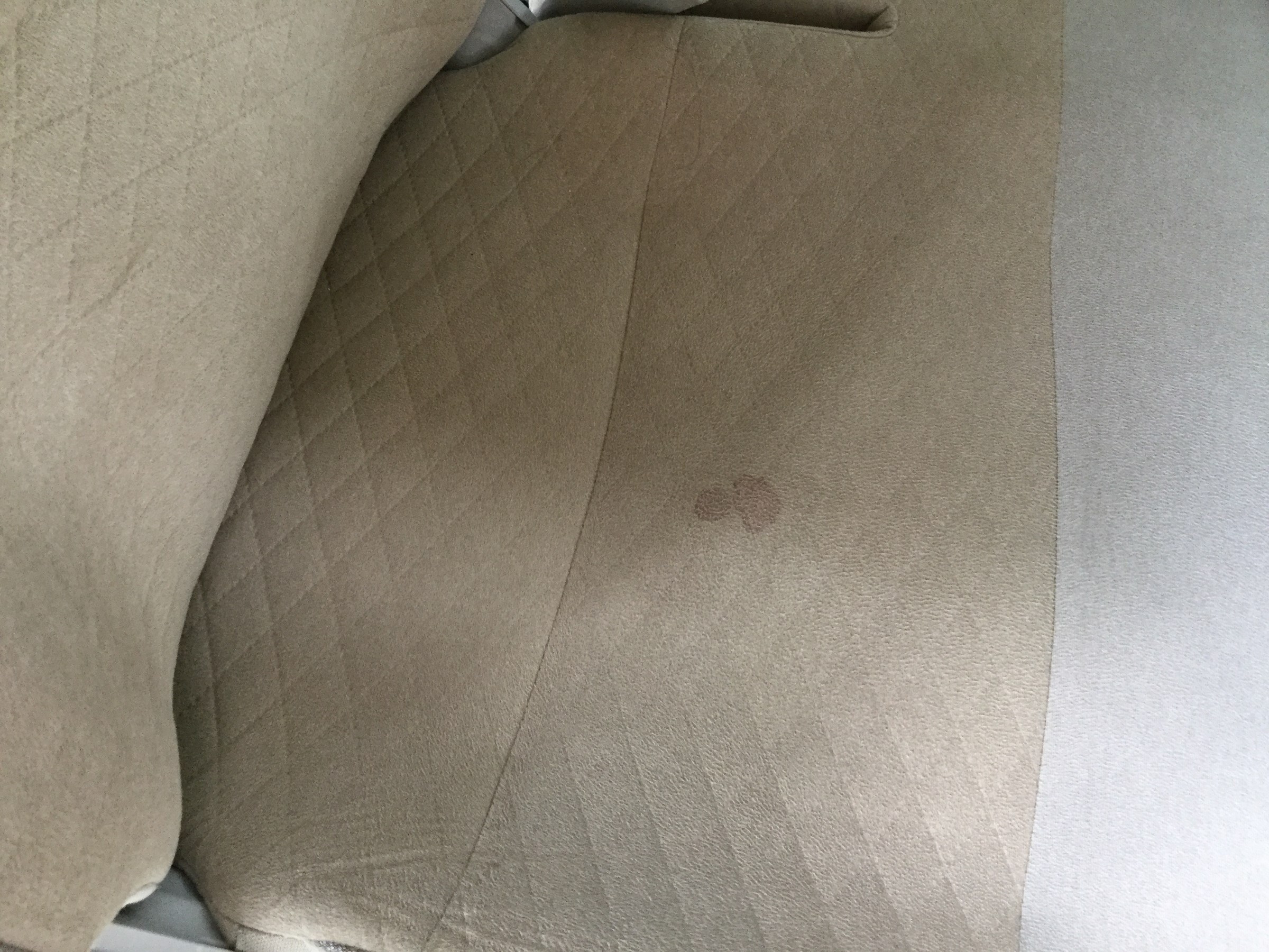 自分で撮影した画像です