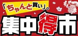 フレックスから頂いた画像です
