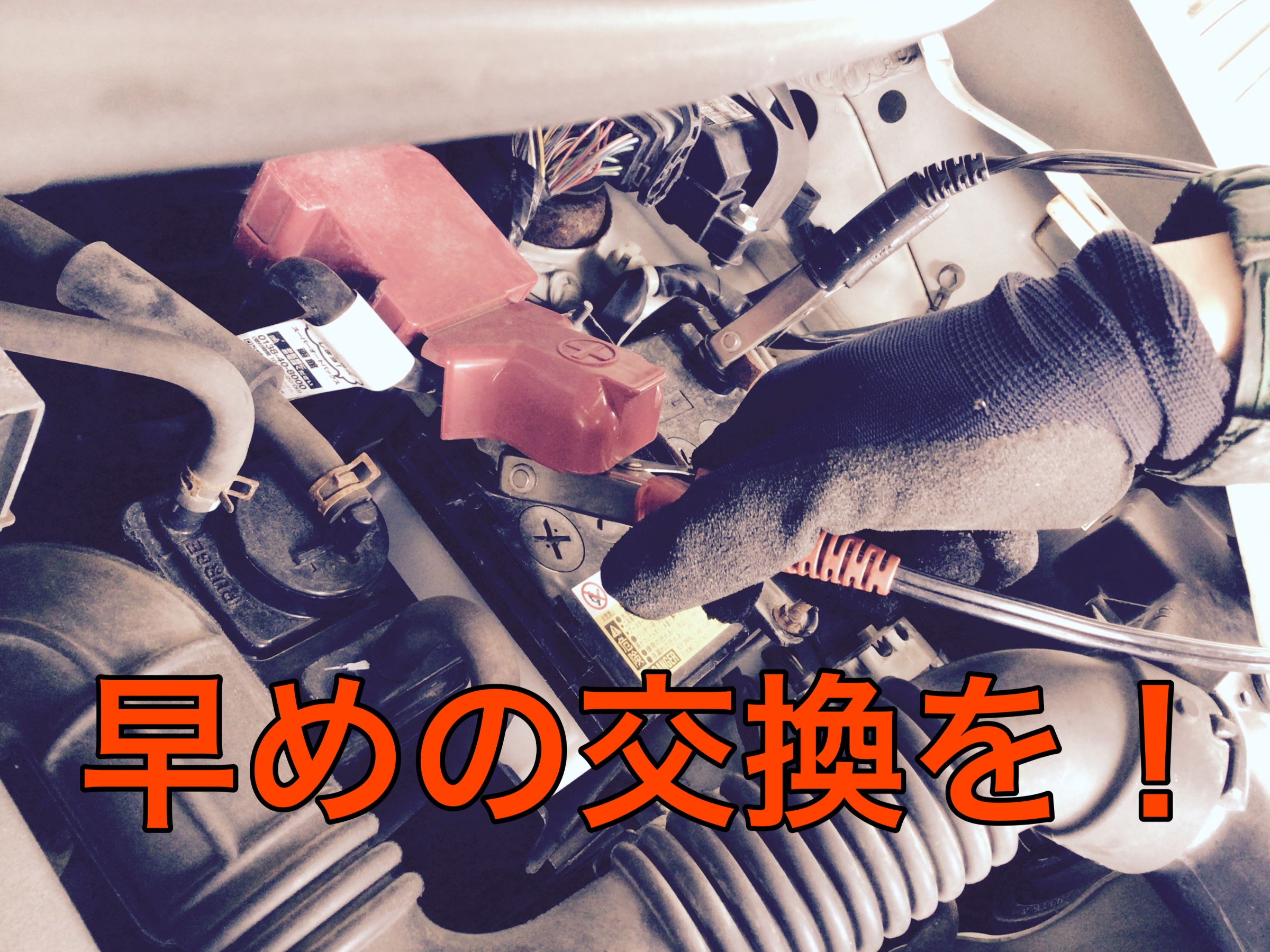 スタッフ撮影画像です