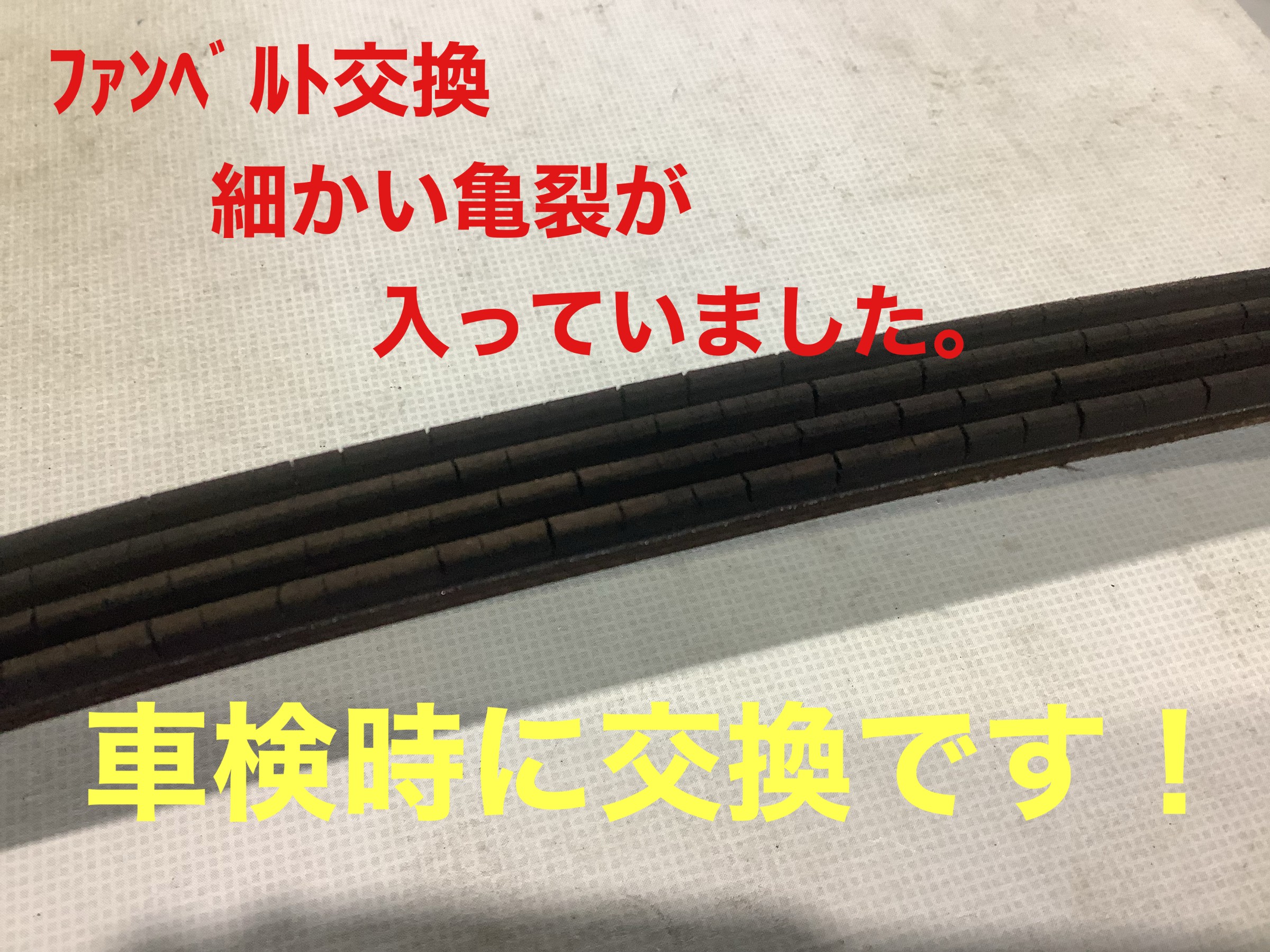 自店撮影