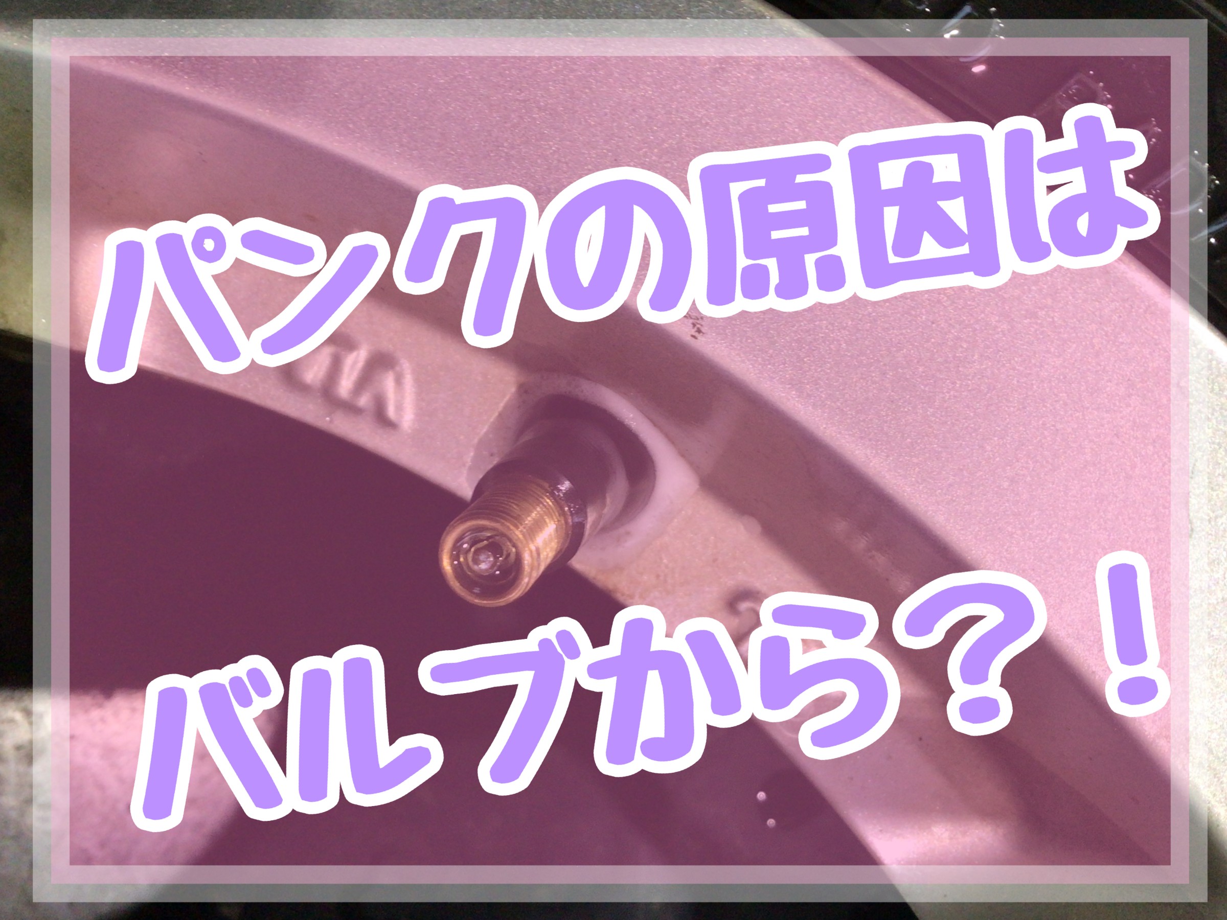 スタッフが撮影加工した画像