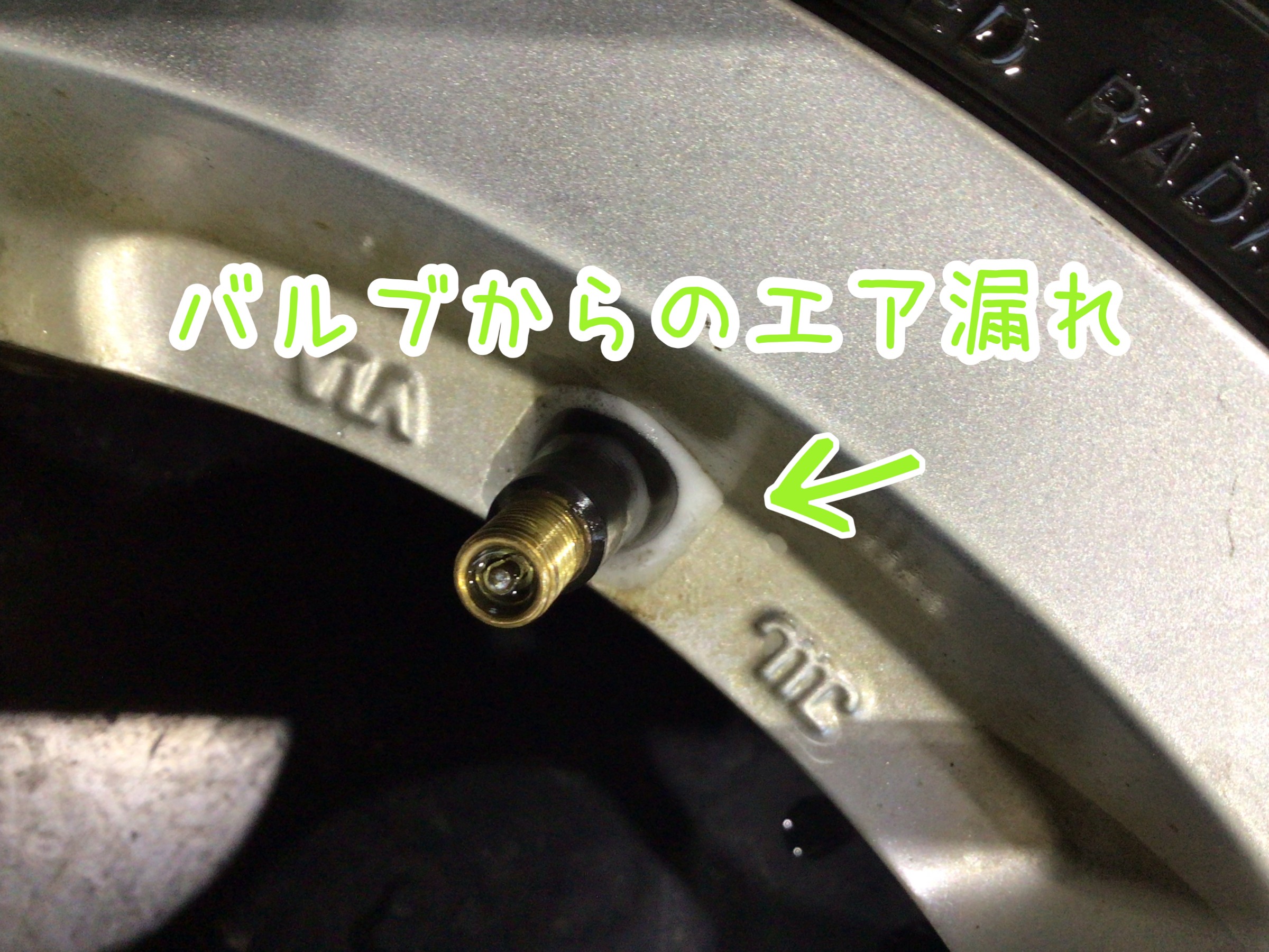 スタッフが撮影加工した画像