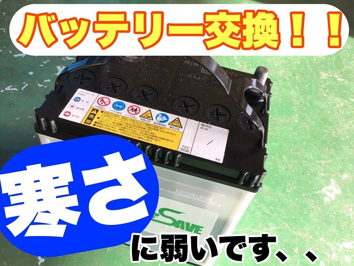スタッフが撮影加工した画像