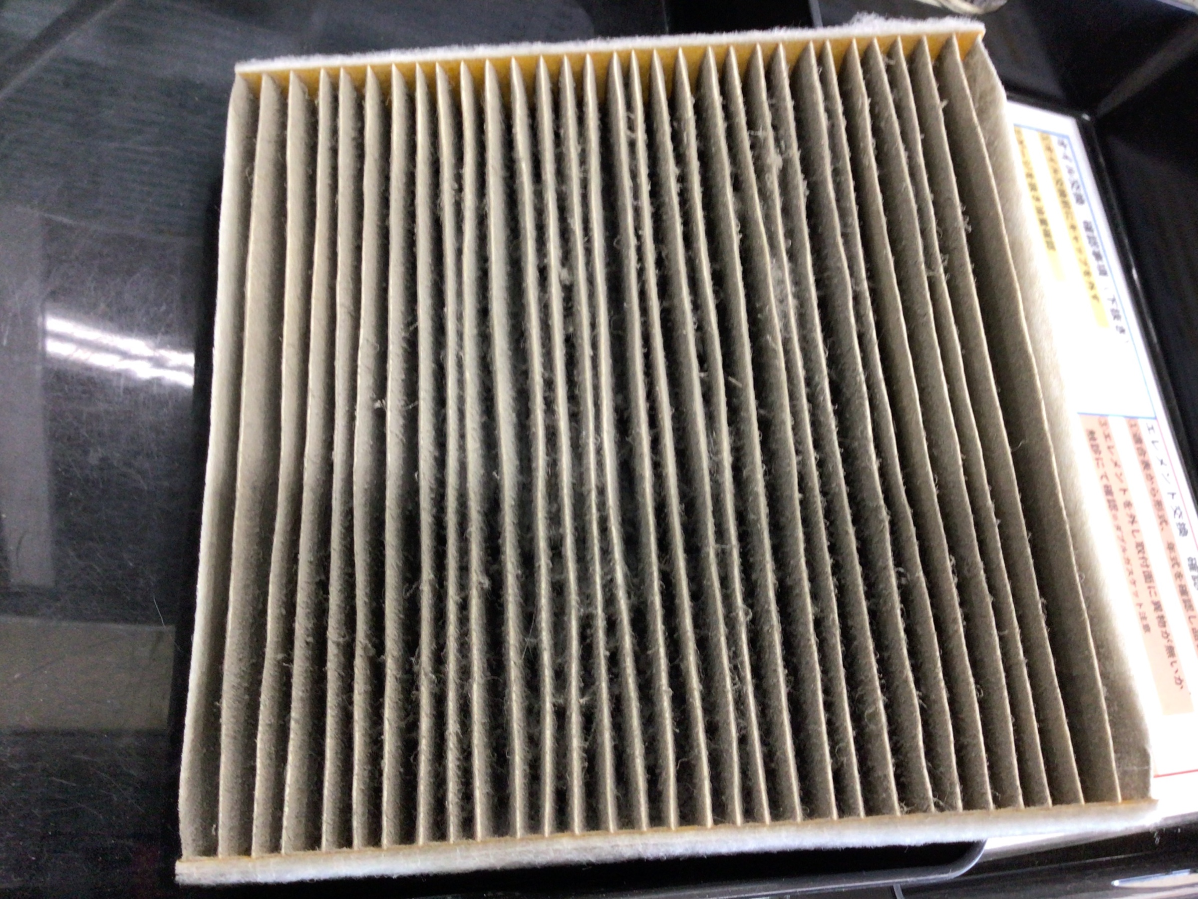 スタッフ撮影分