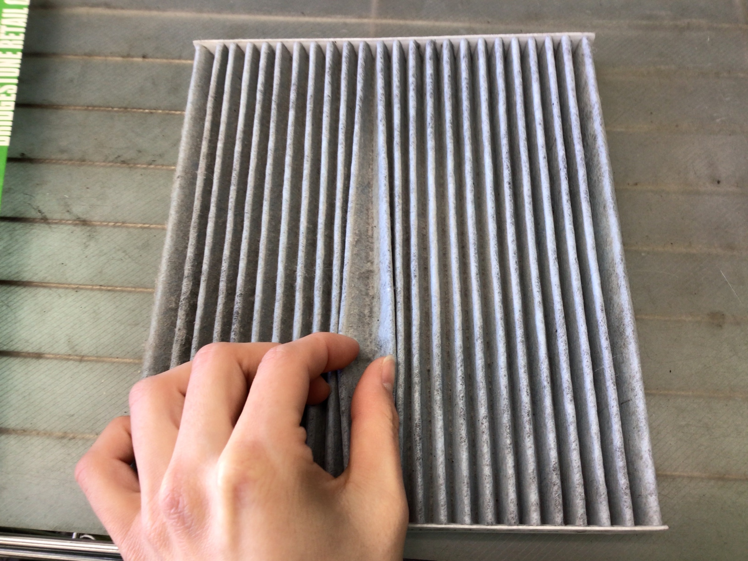 スタッフ撮影分