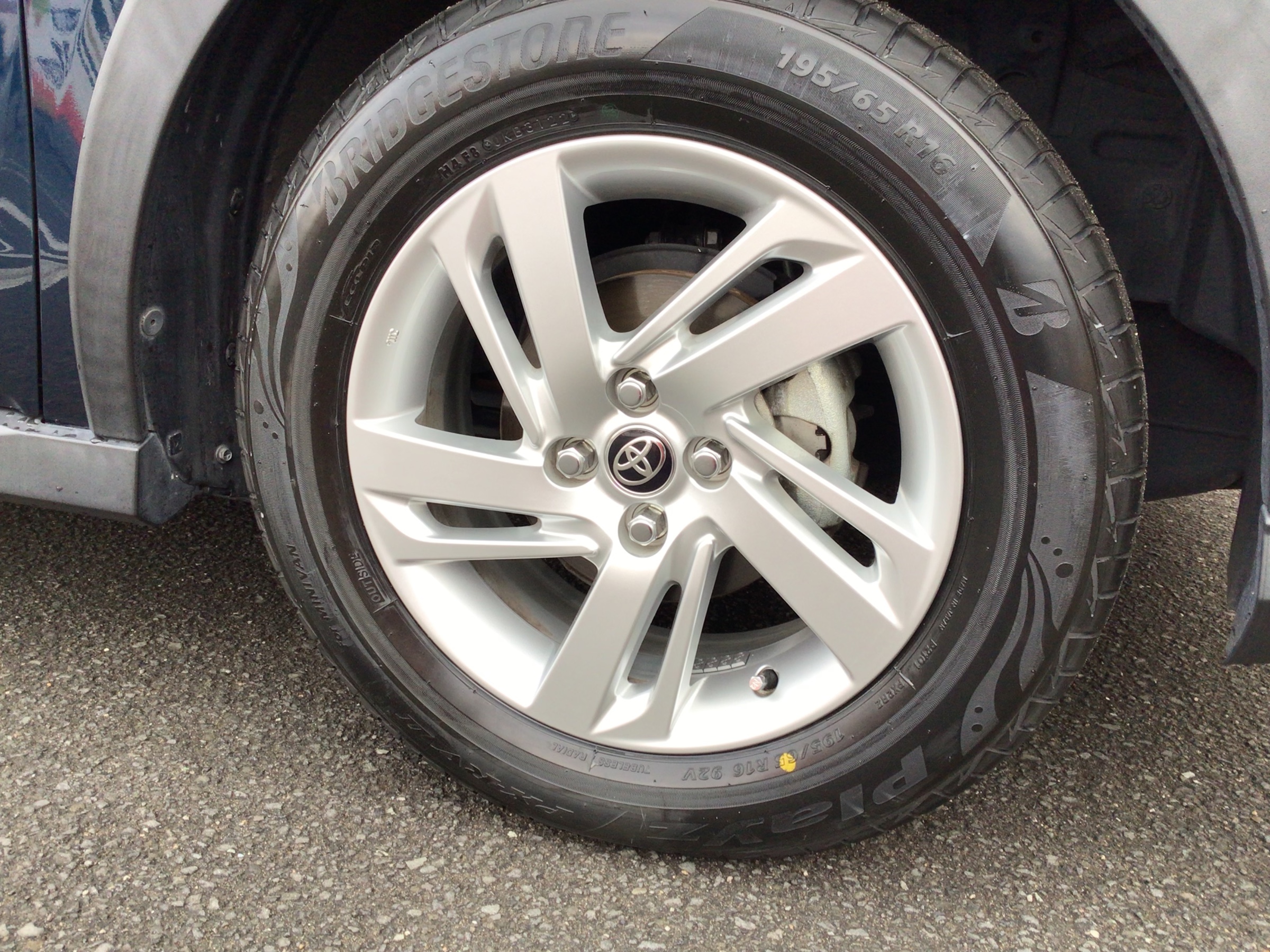 スタッフ撮影分