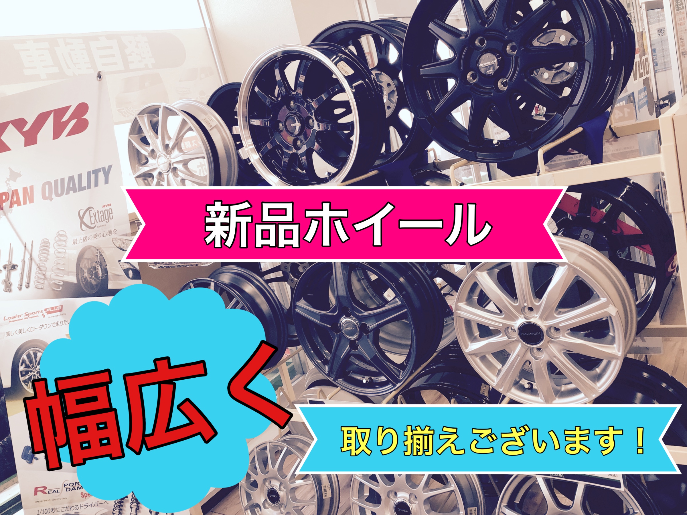 スタッフ撮影画像です