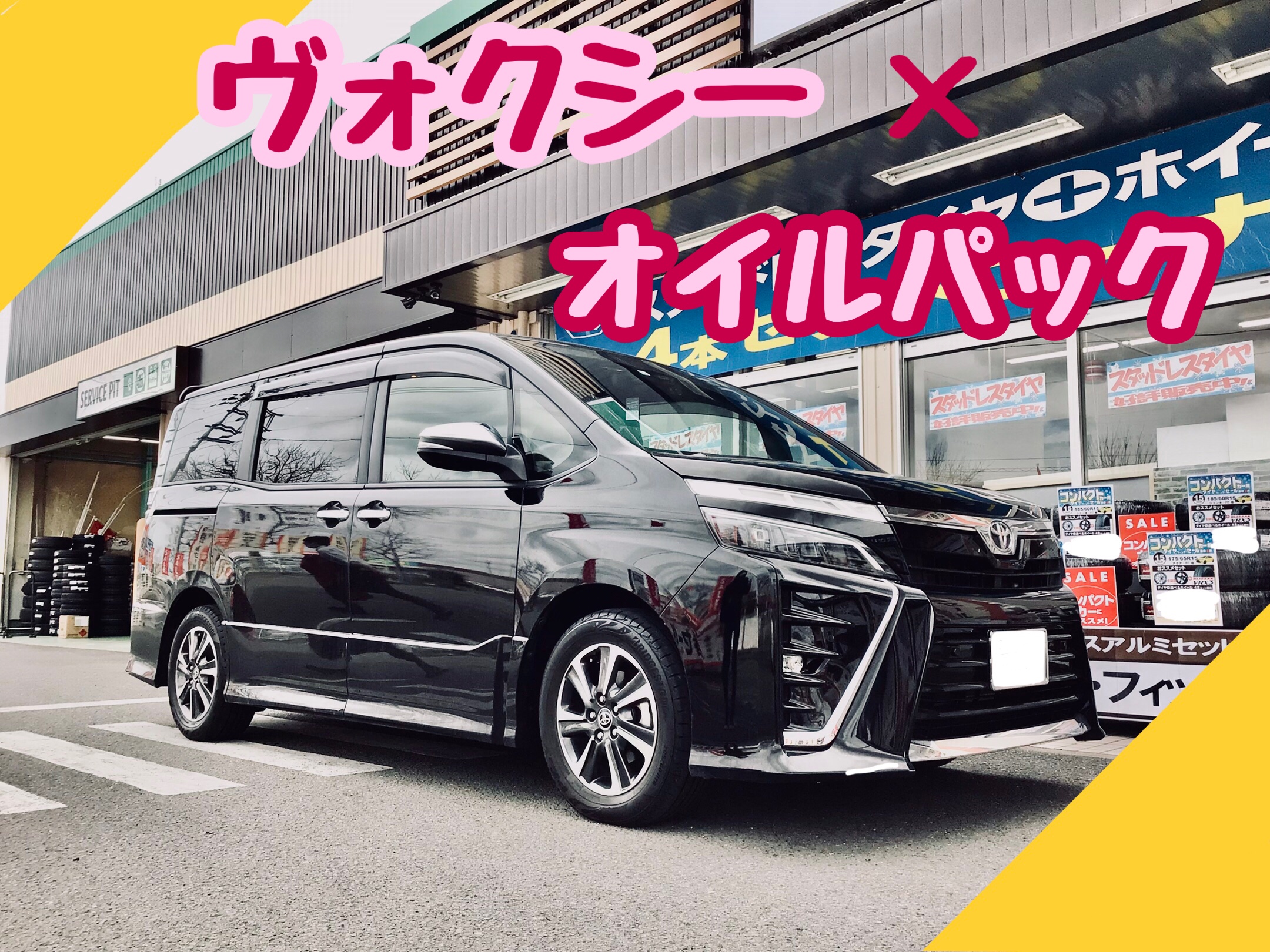 スタッフ撮影分