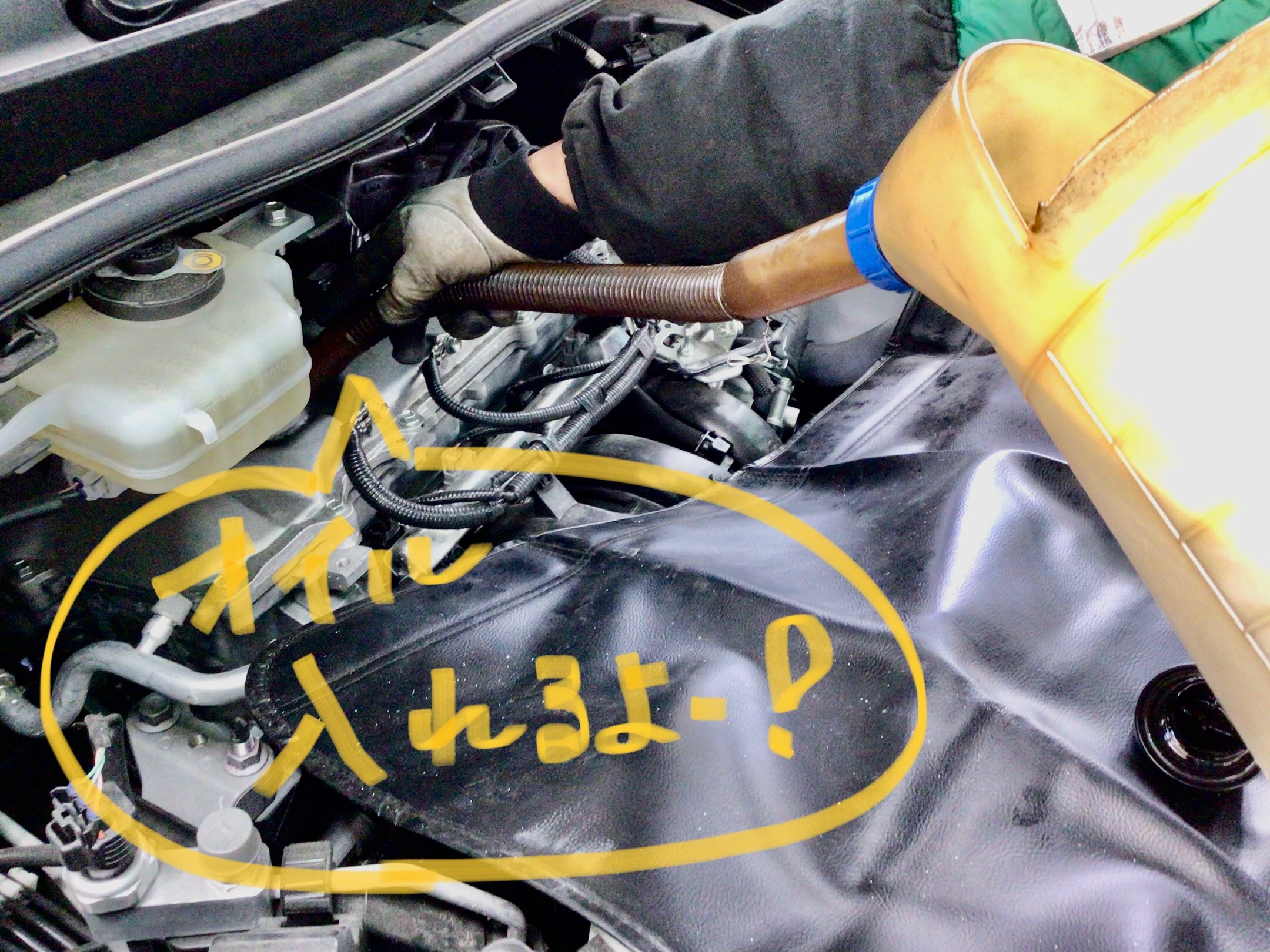 スタッフ撮影分