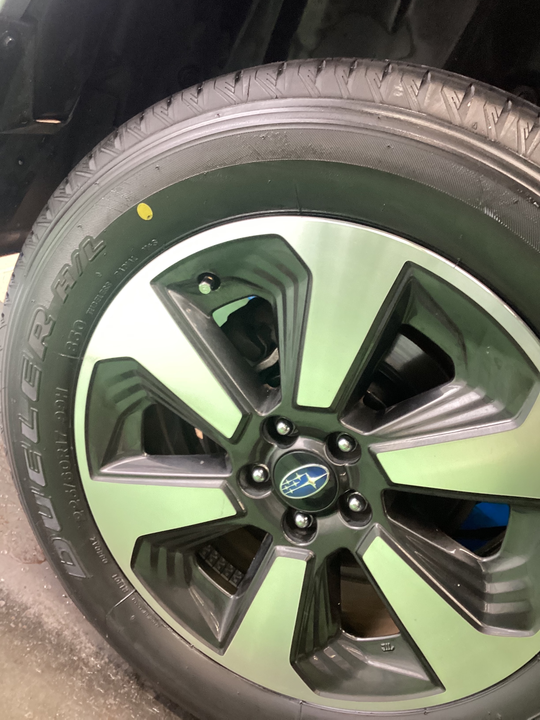 自店撮影画像になります。