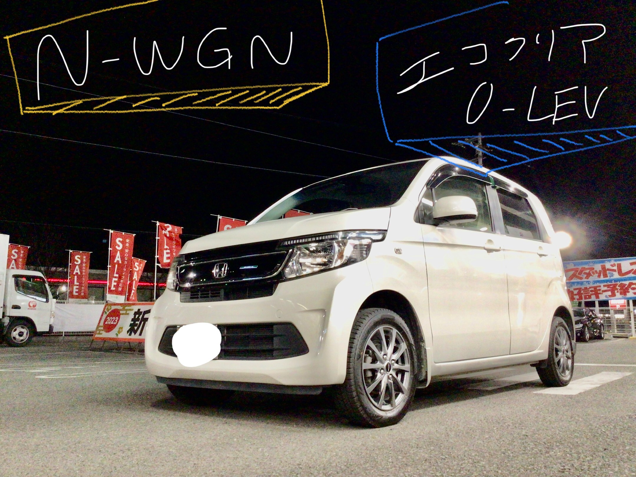 スタッフ撮影分