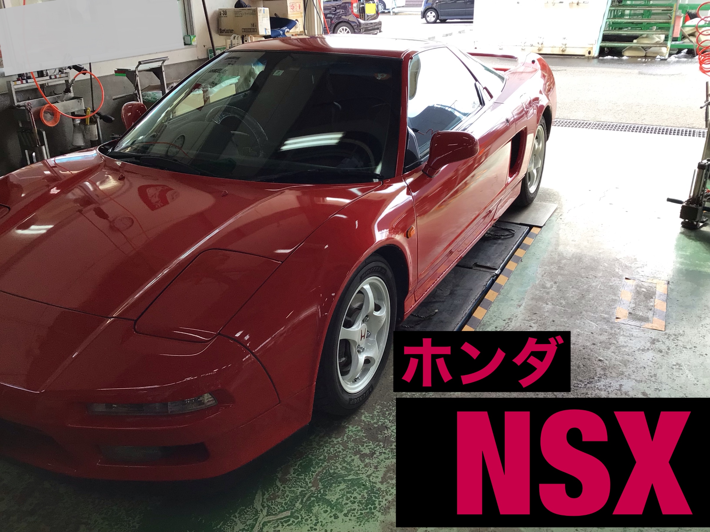 スタッフが撮影した画像です。