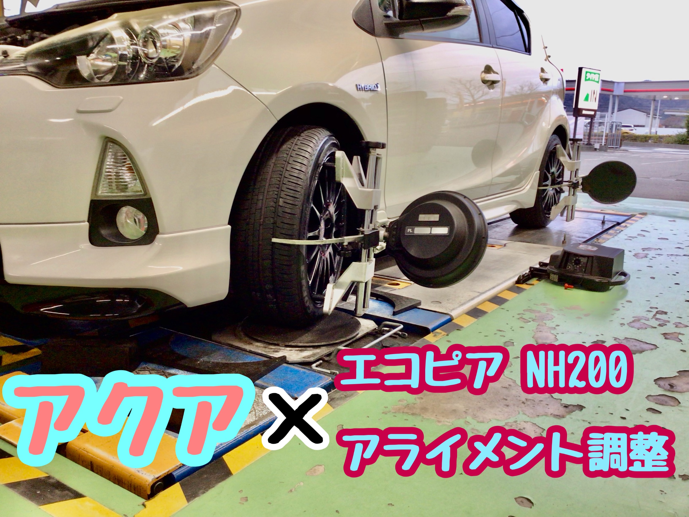 スタッフ撮影分