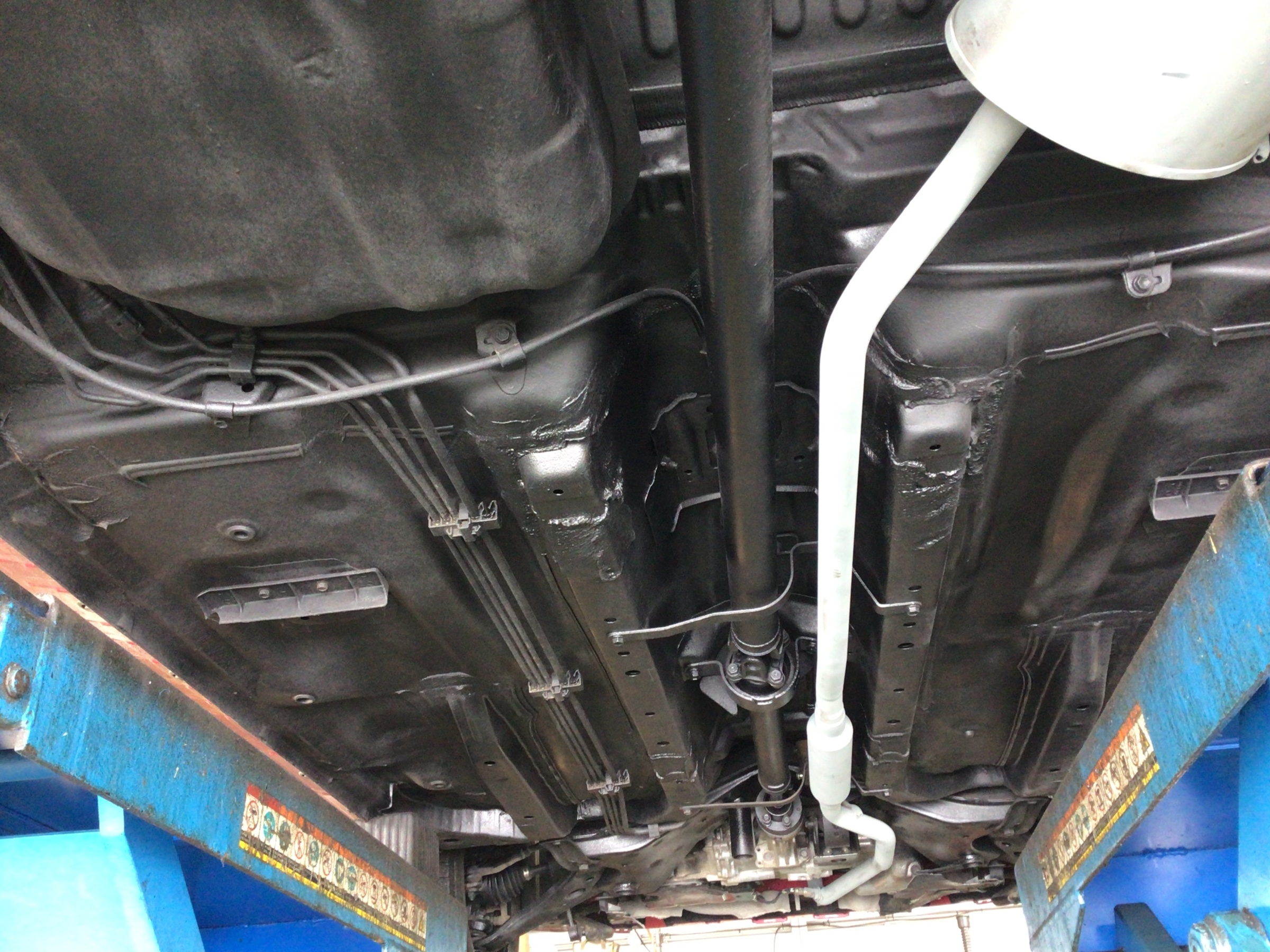 スタッフ撮影画像です