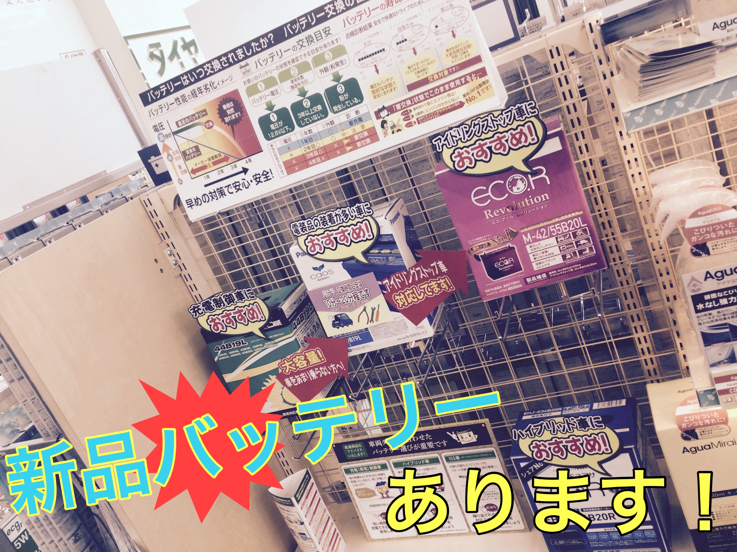 スタッフ撮影画像です