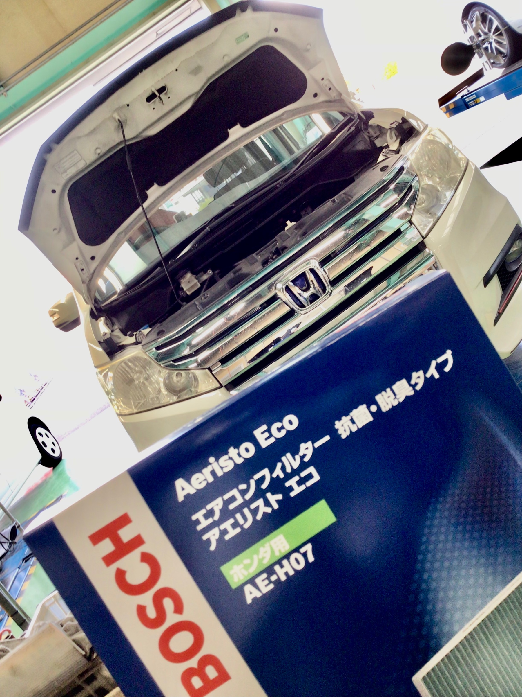 スタッフ撮影分