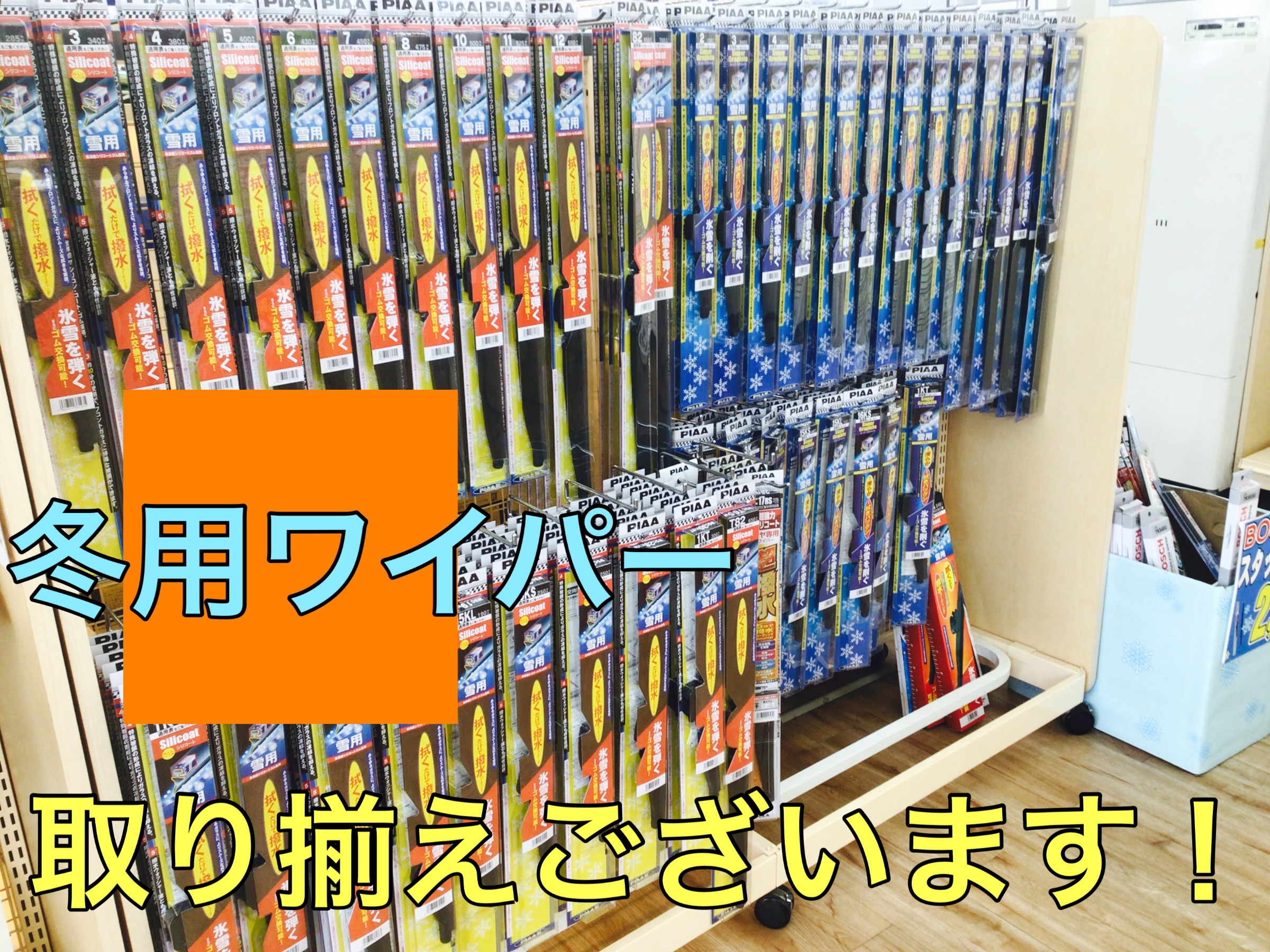 スタッフ撮影画像です