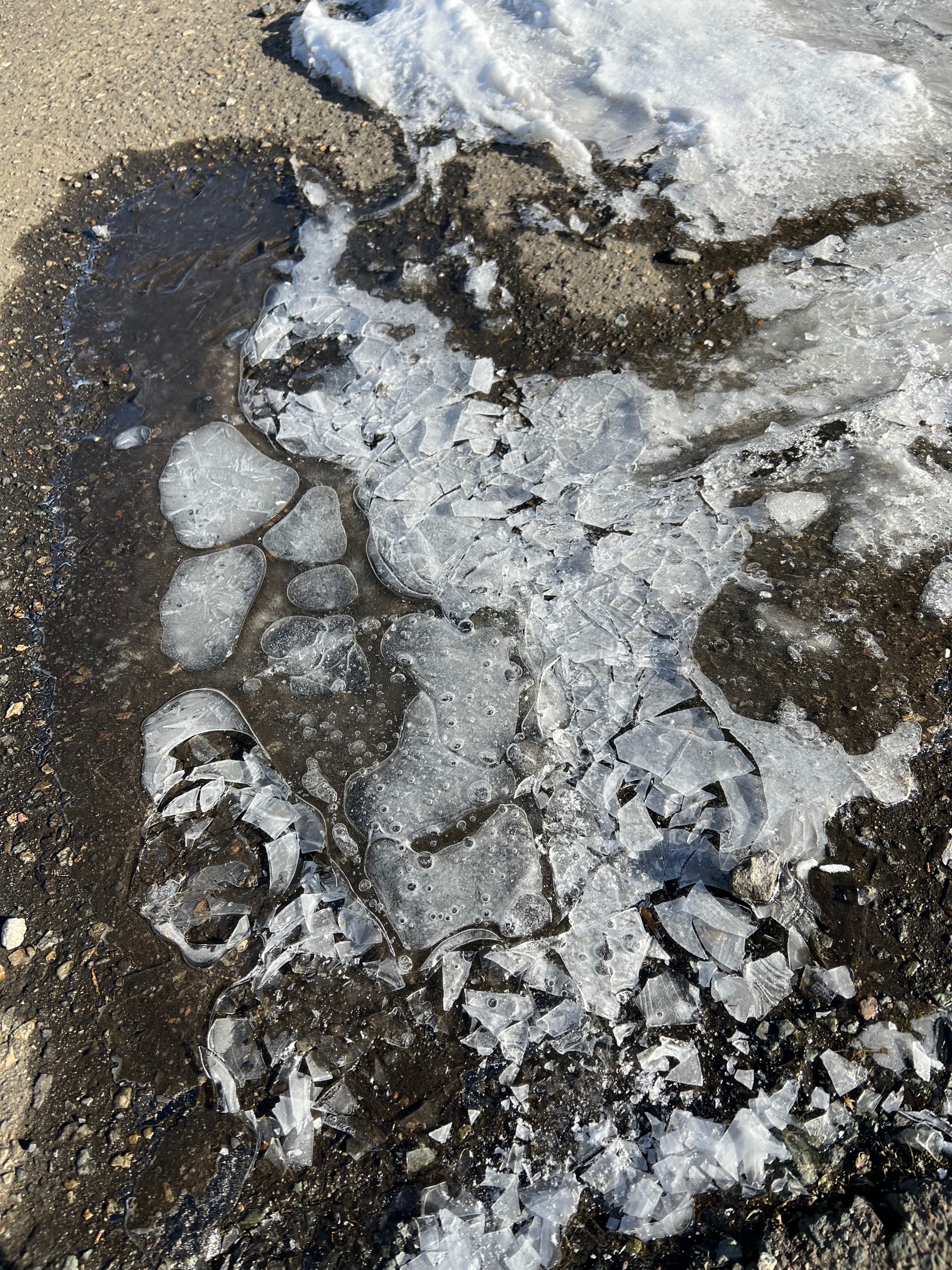 スタッフ撮影です