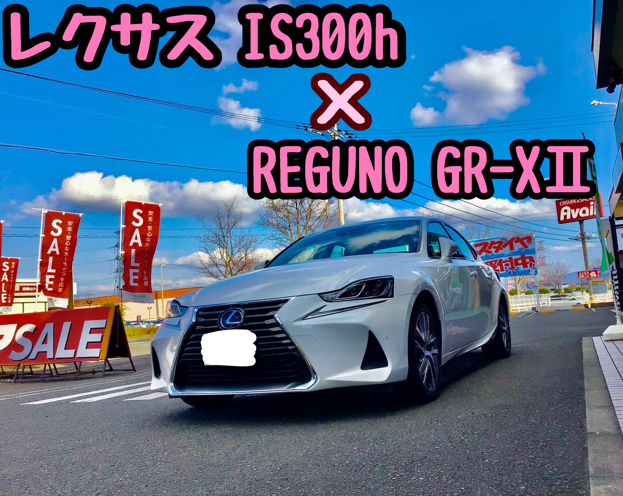 スタッフ撮影分