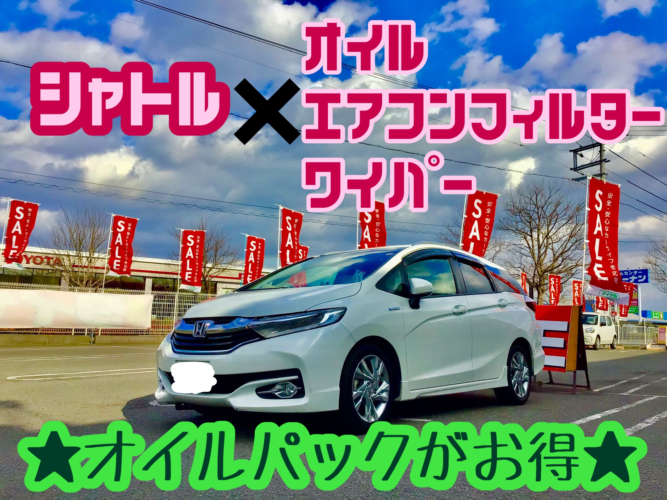 スタッフ撮影分