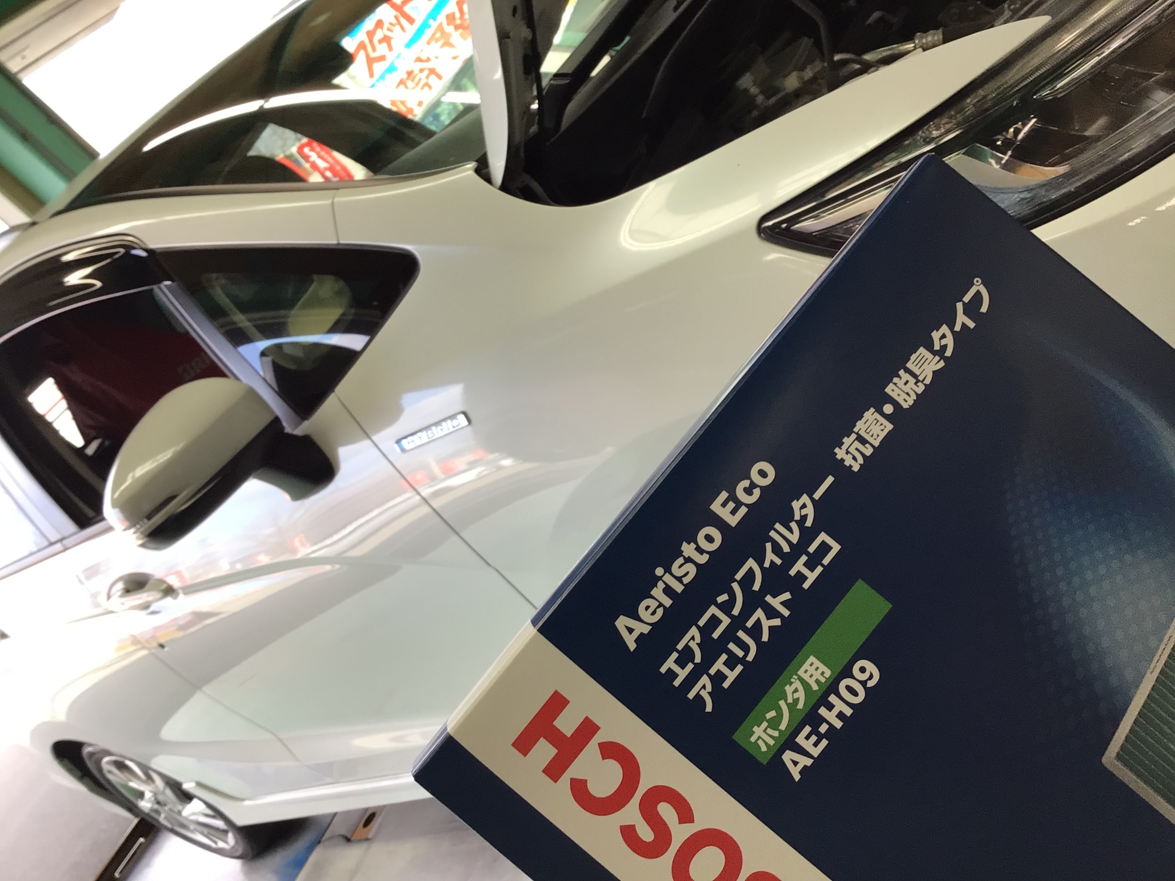 スタッフ撮影分