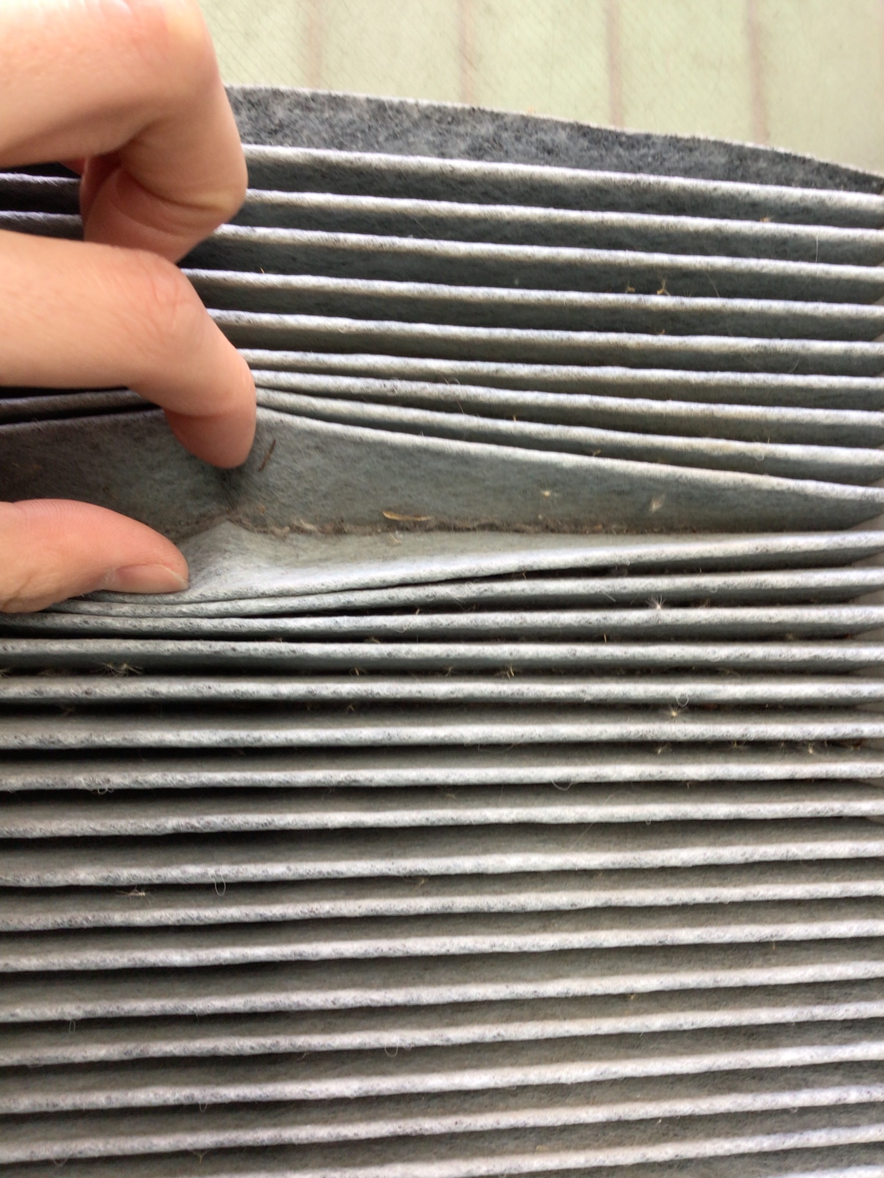 スタッフ撮影分