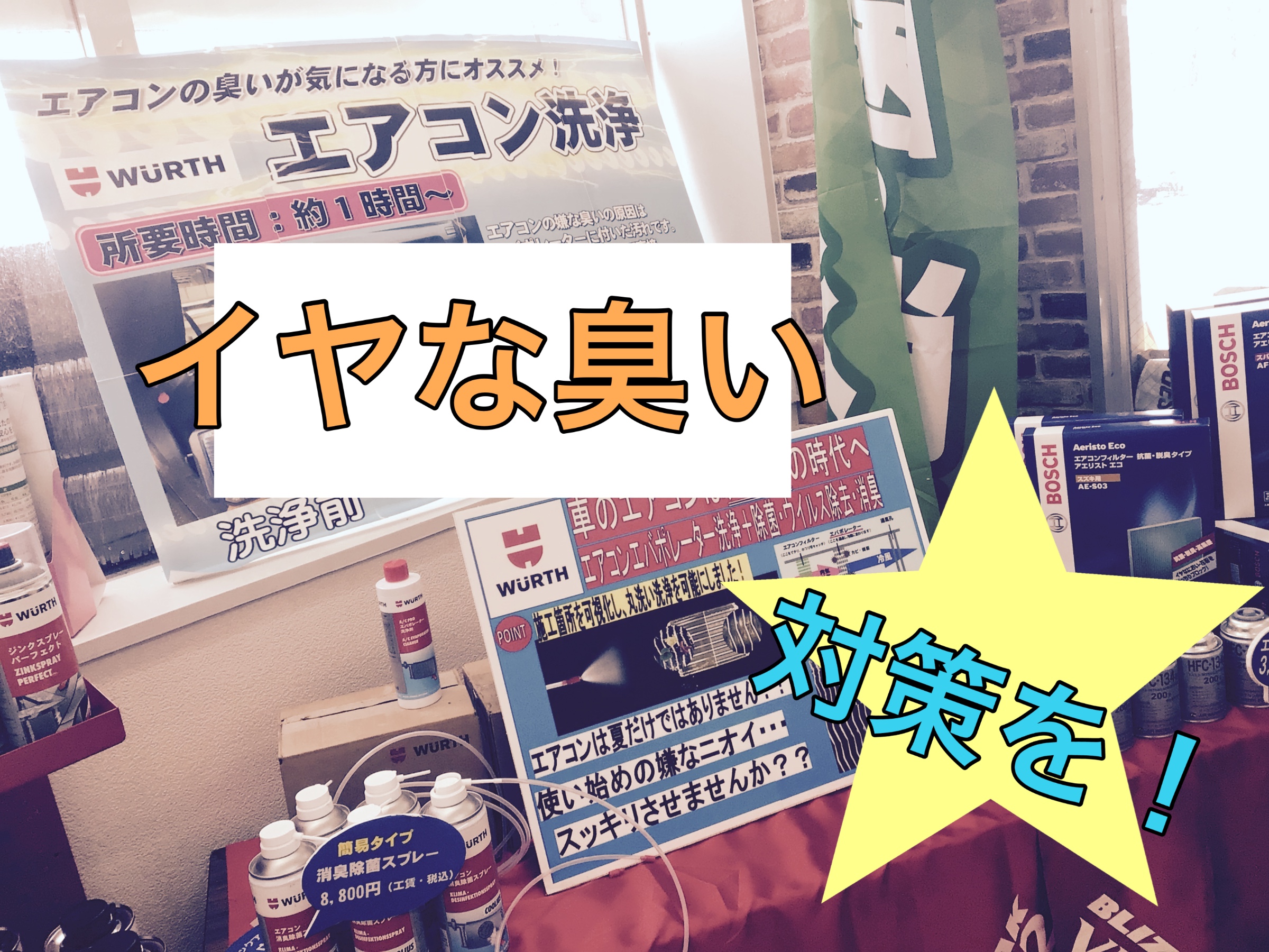 スタッフ撮影画像です