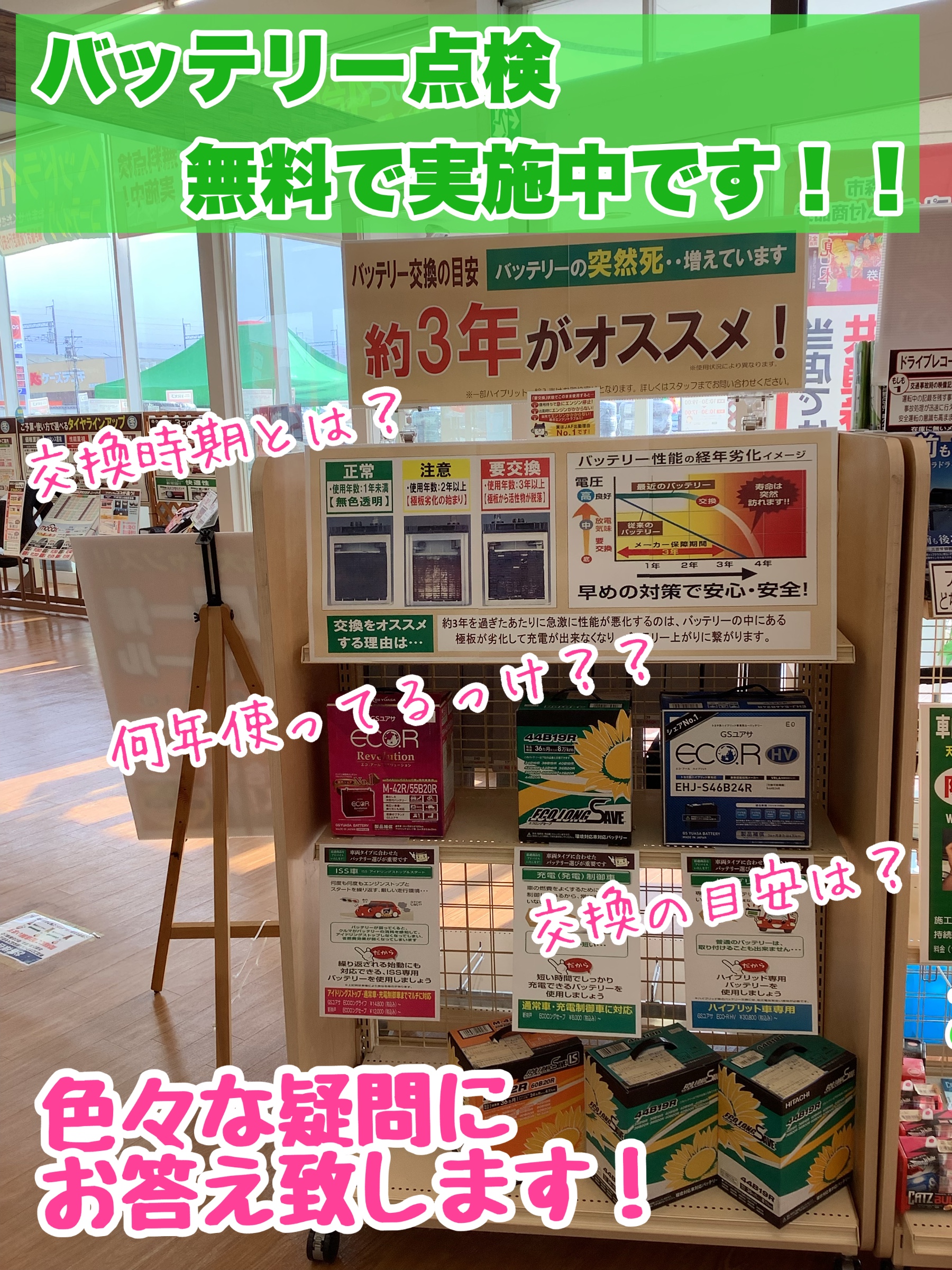 スタッフが撮影加工