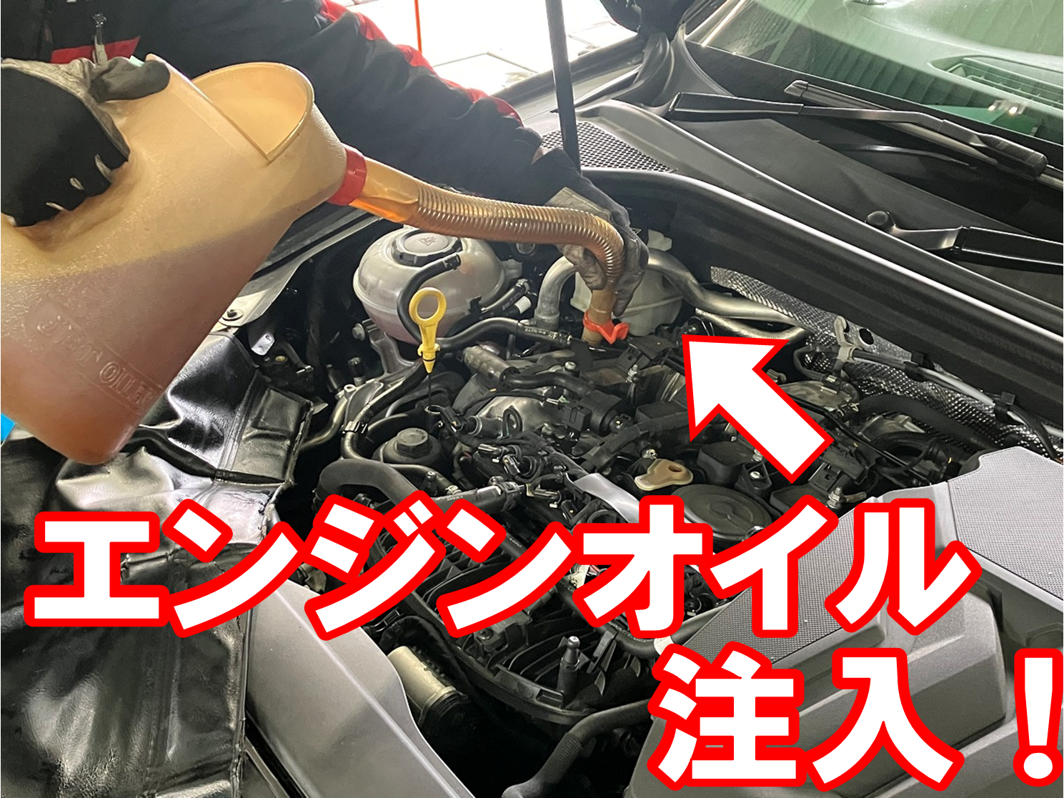 アウディ　エンジンオイル交換
