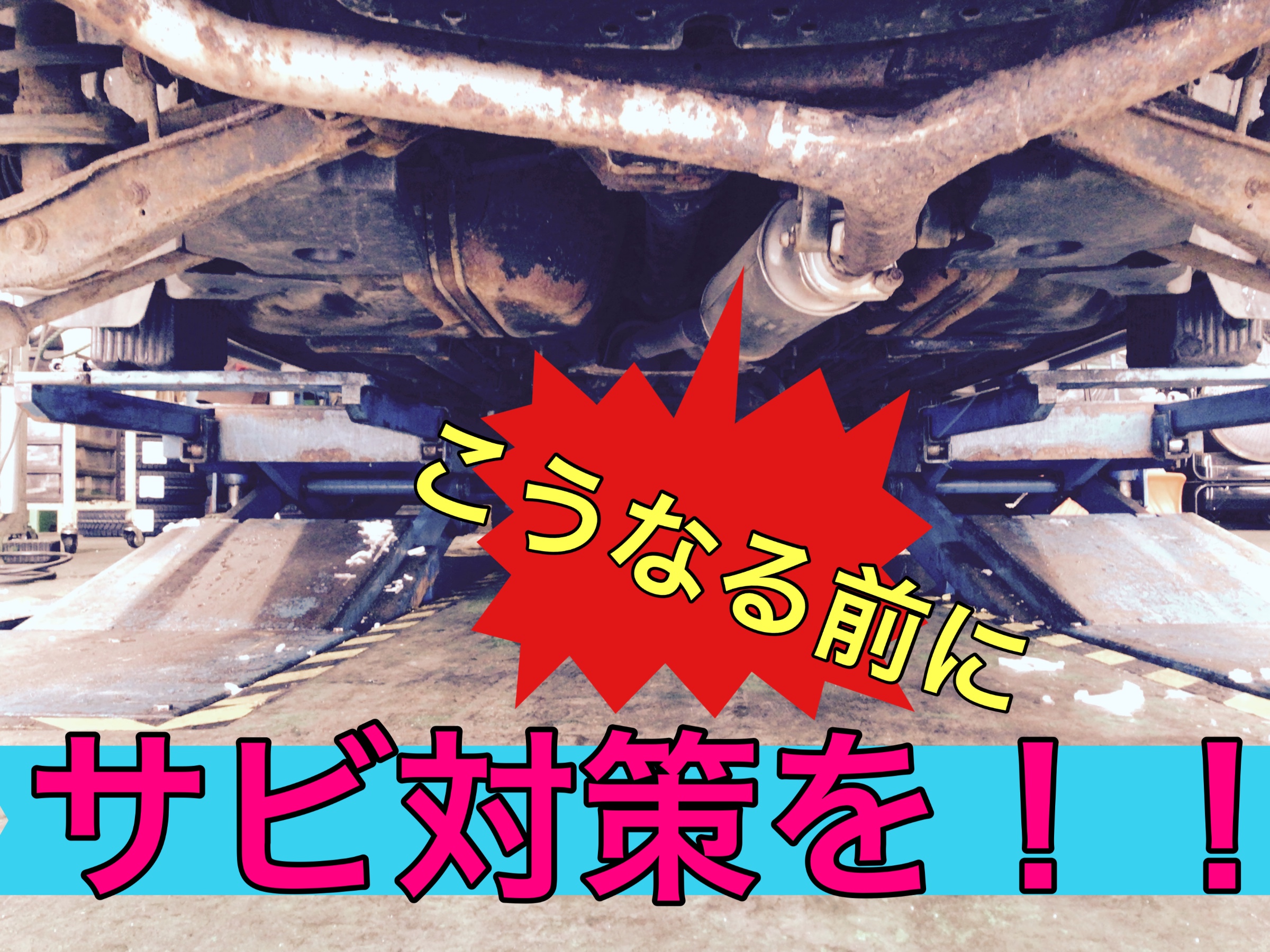 スタッフ撮影画像です
