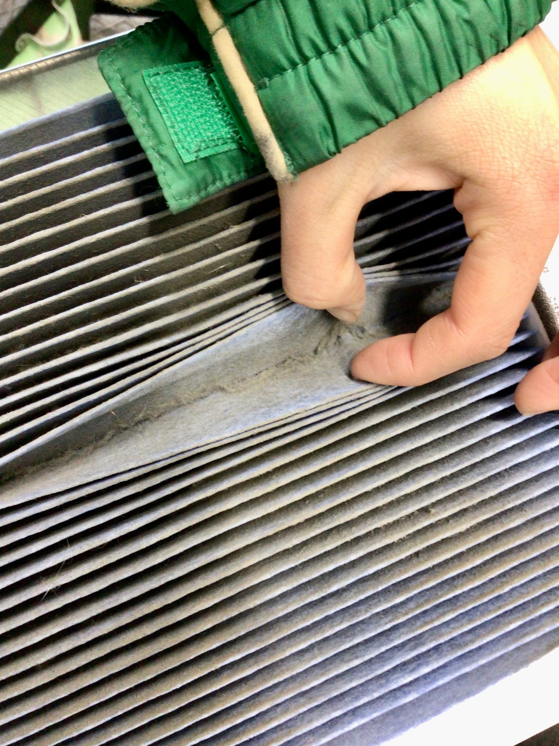 スタッフ撮影分