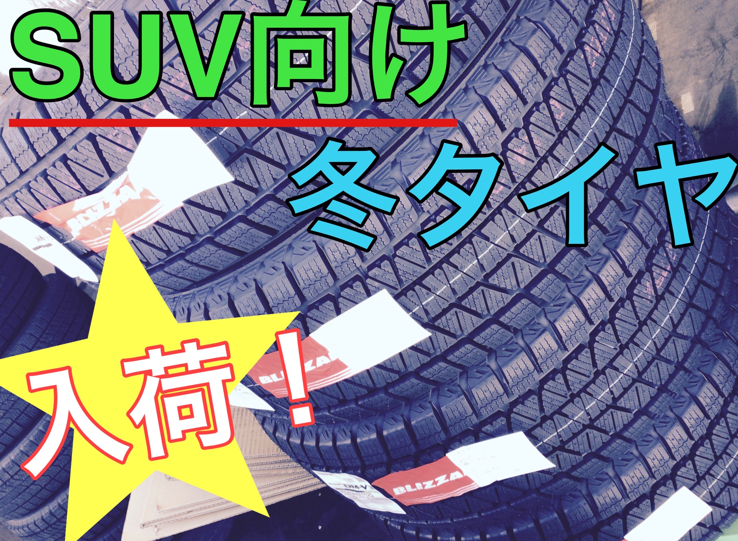 スタッフ撮影画像です