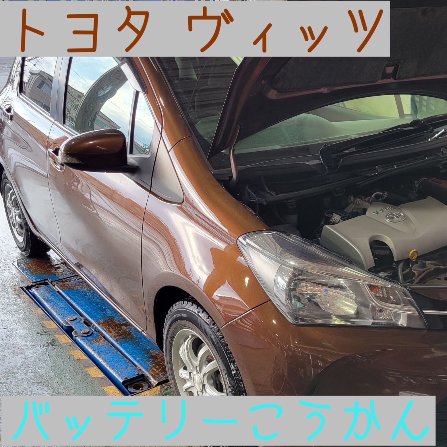 スタッフ撮影