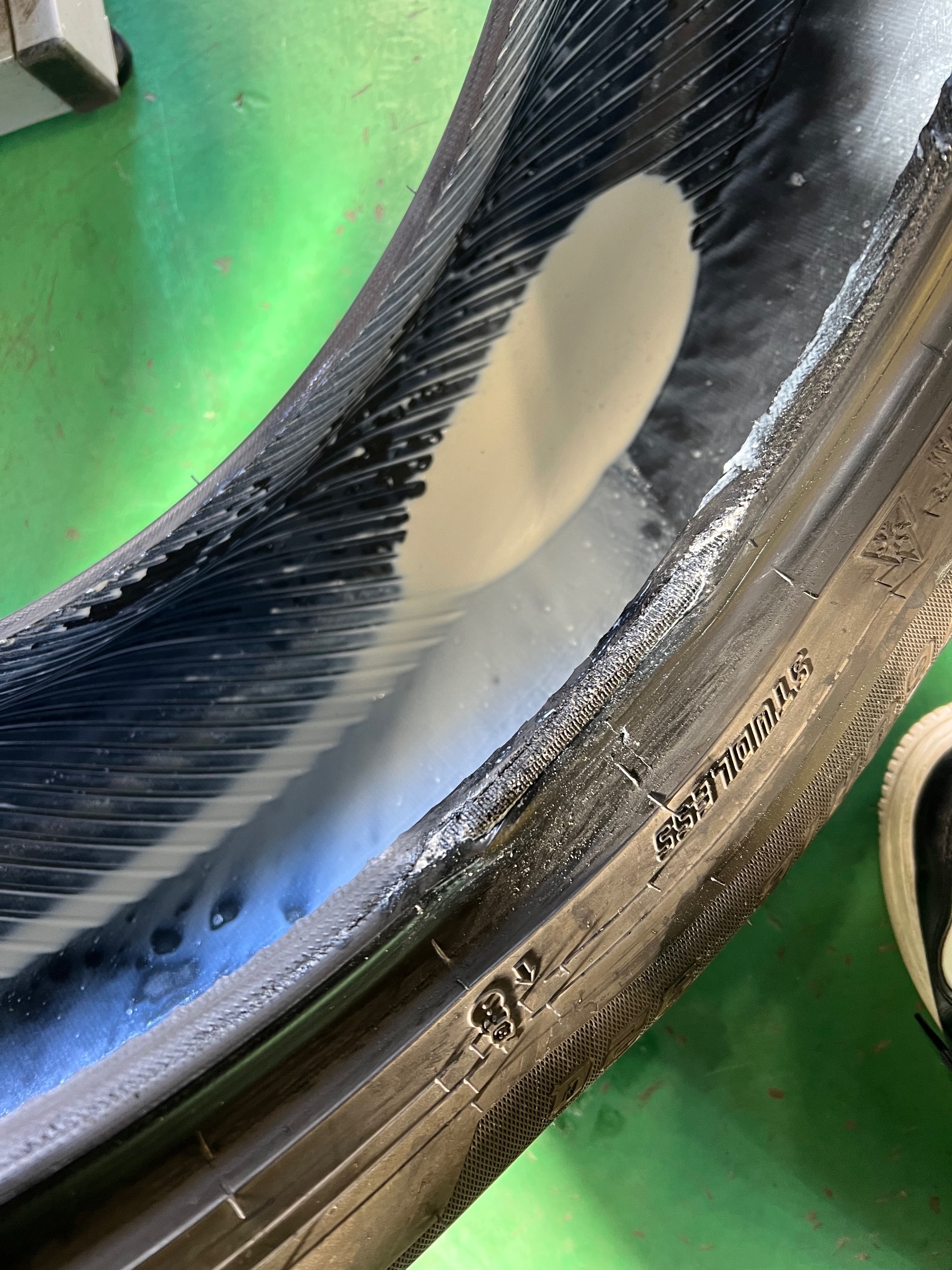 スタッフ撮影です