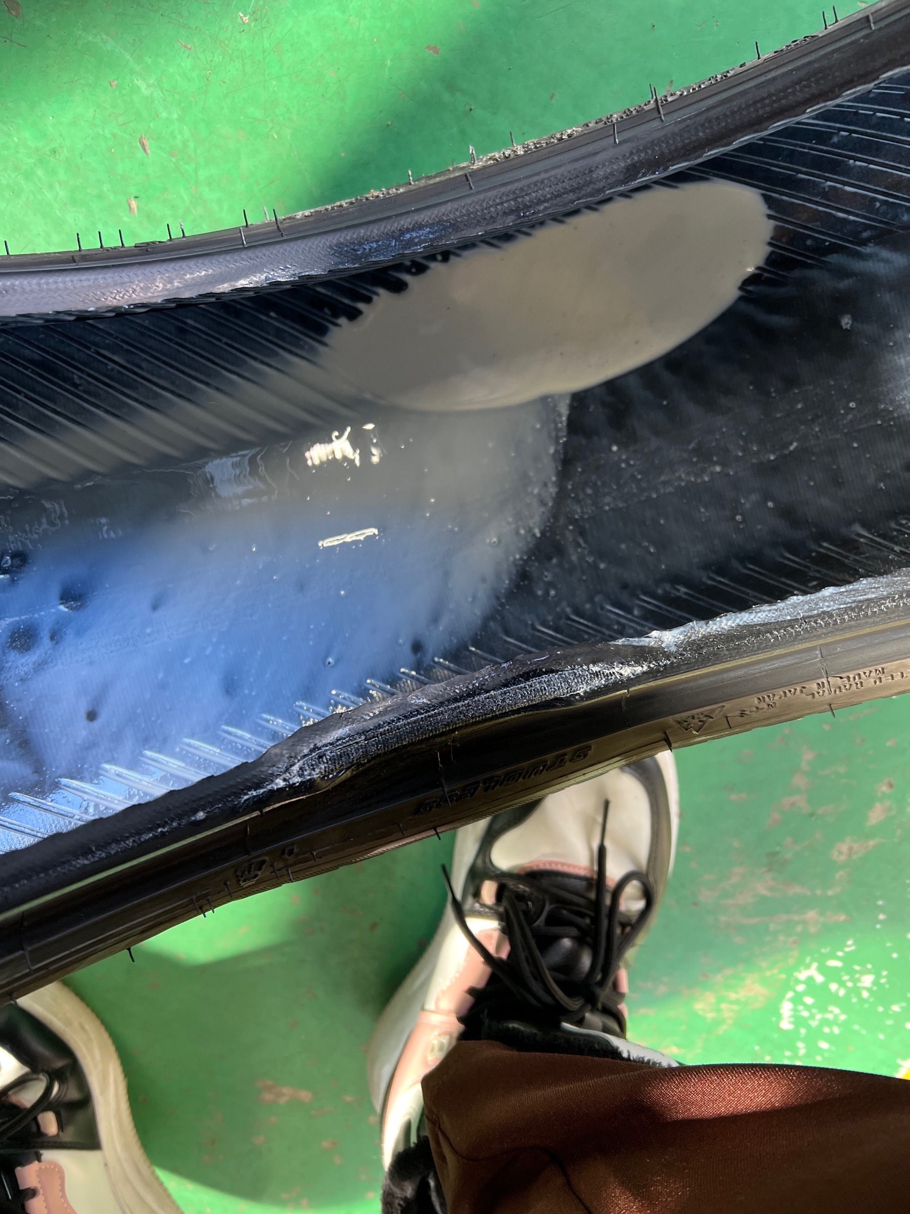 スタッフ撮影です